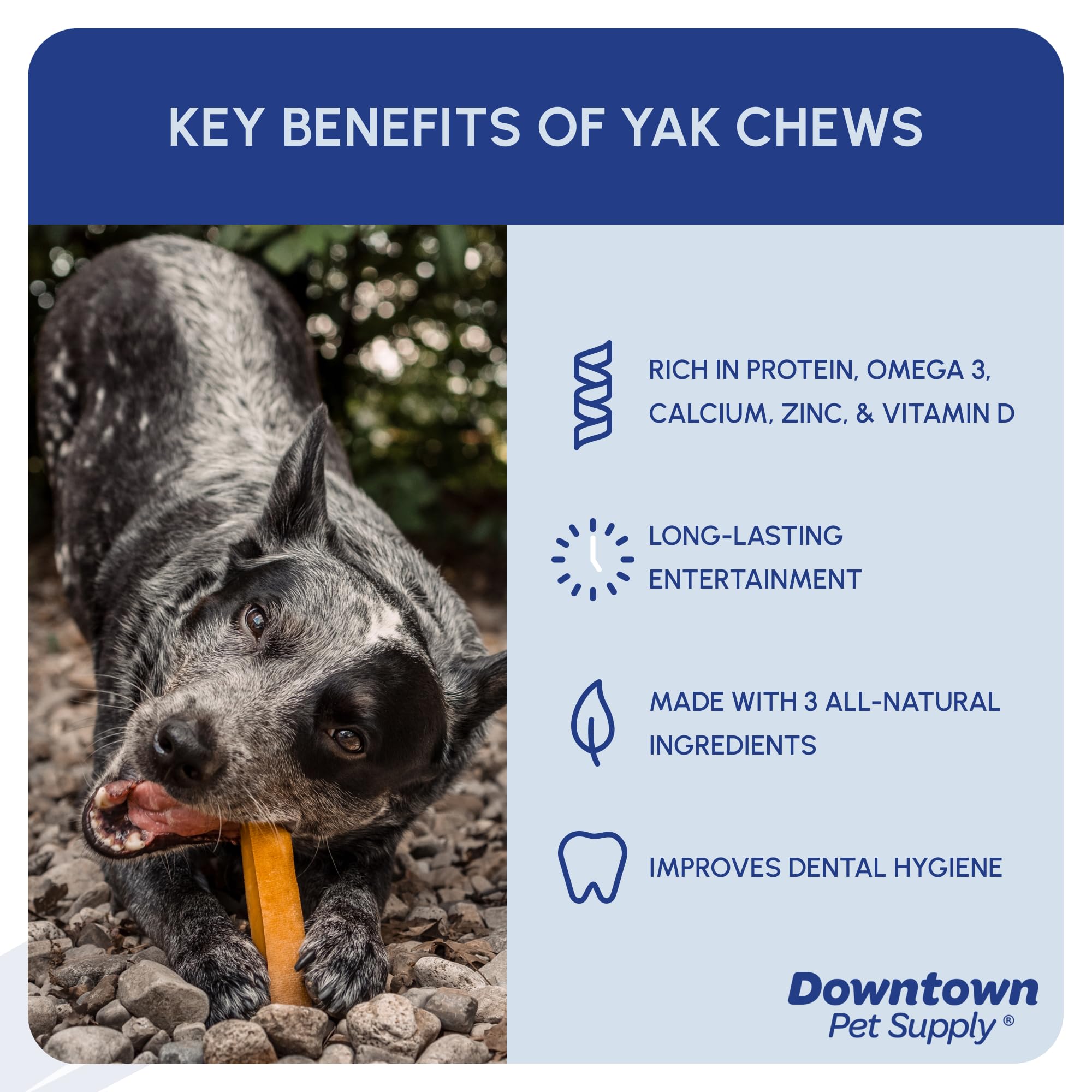 Downtown Pet Supply Yak Cheese Himalayan Dog Chews - Regular Yak Chews Rich in Nutrients for Small to Medium Dogs - Long Lasting