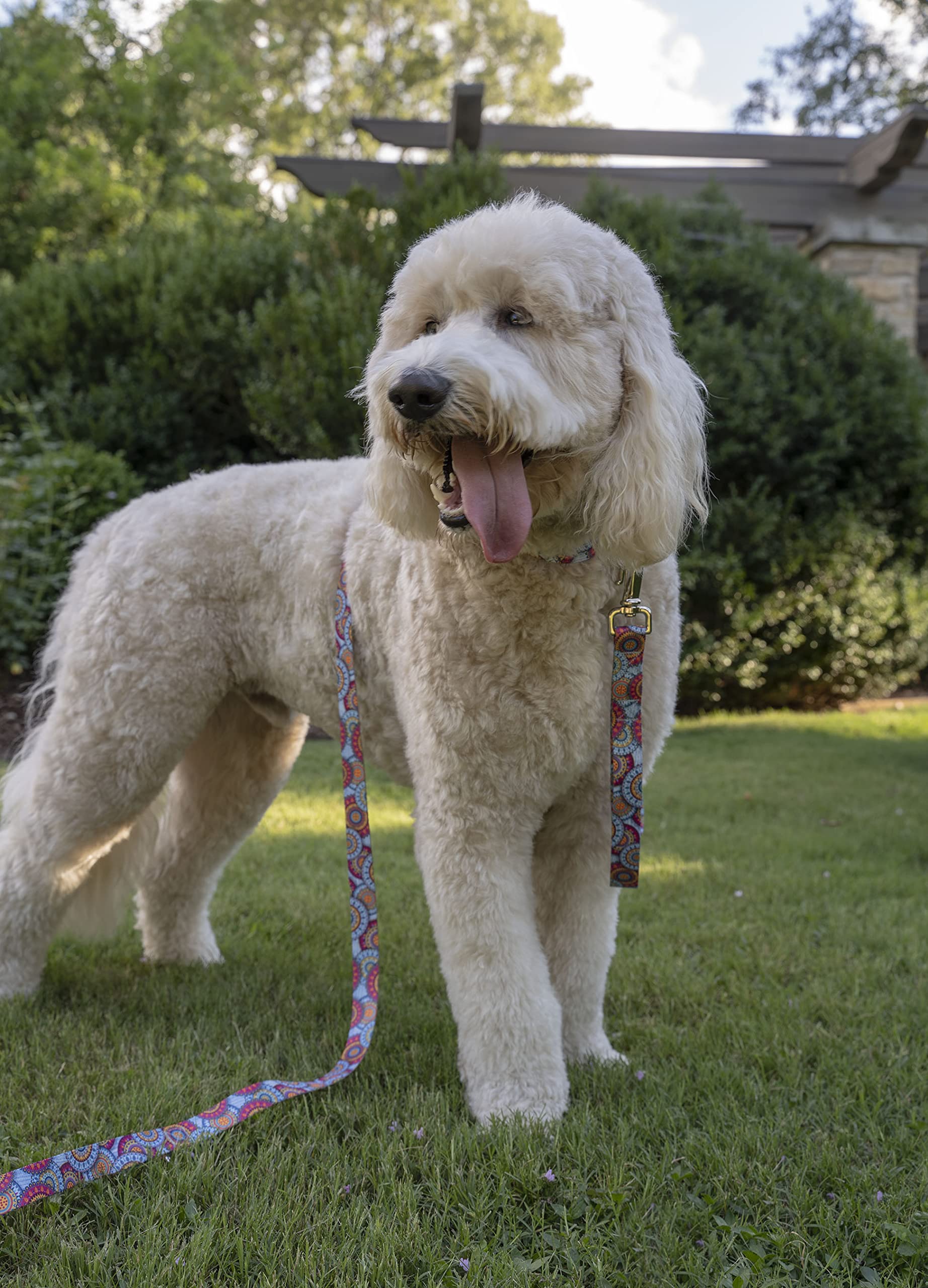 Country Brook Petz - Premium Sky Mandala Dog Collar And Leash - Groovy Collection Featuring Far Out Designs (1 Inch, Extra Large