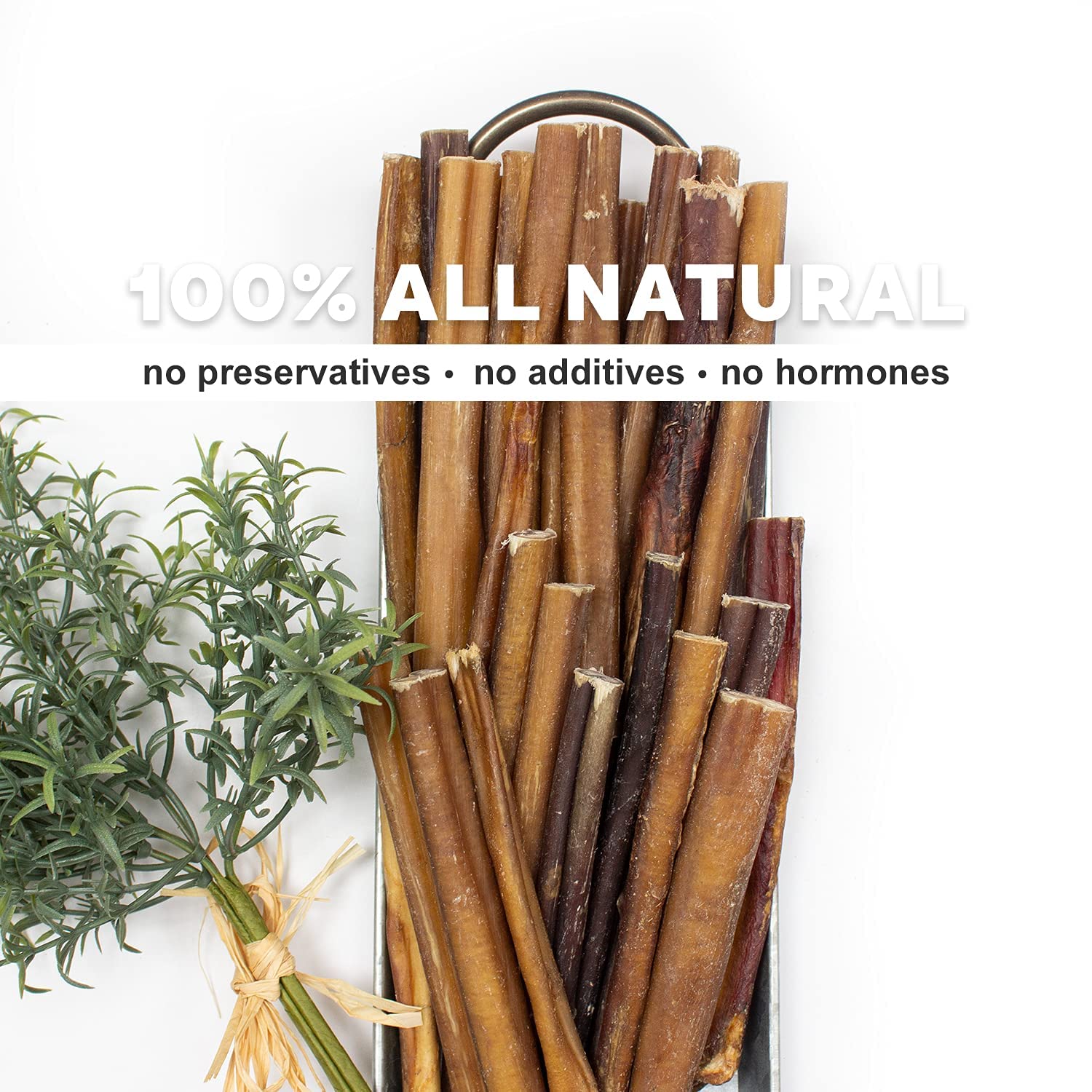 Downtown Pet Supply 6-inch Bully Sticks for Dogs, Pack of 10 - Single Ingredient, Nutrient-Rich and Odor Free Bully Sticks for D