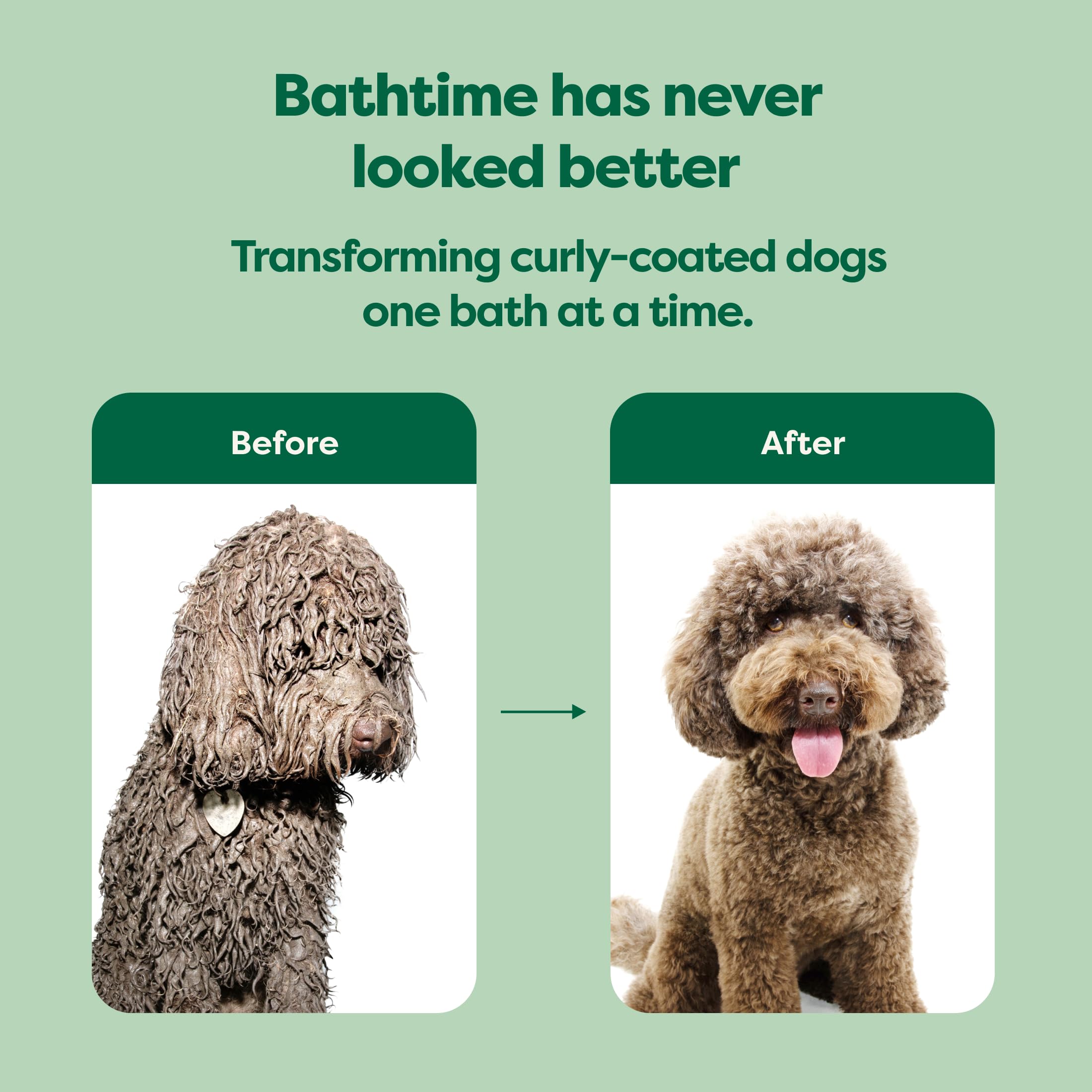 Earth Rated 3-In-1 Dog Shampoo, Conditioner And Deodorizer, For Curly-Coated Dogs And Puppies To Tackle Tangles And Restore Curls, Refreshing White Tea And Basil Scent, 16 Oz