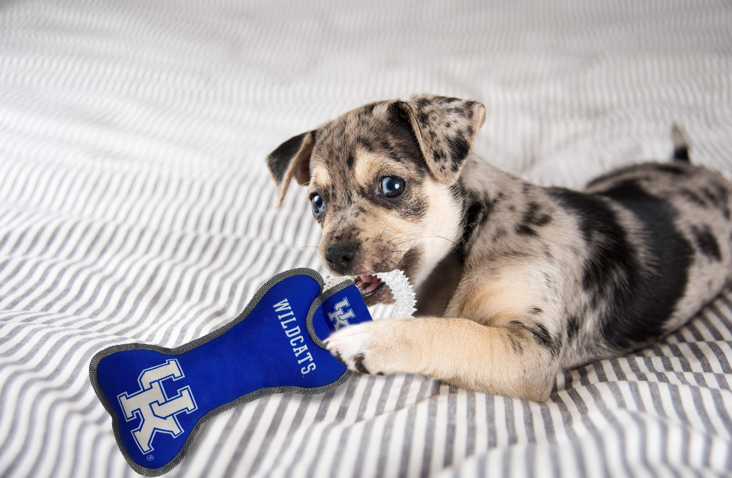 Pets First Ncaa Kentucky Wildcats Dental Dog Tug Toy With Squeaker. Tough Pet Toy For Healthy Fun, Teething & Cleaning Pets Teet