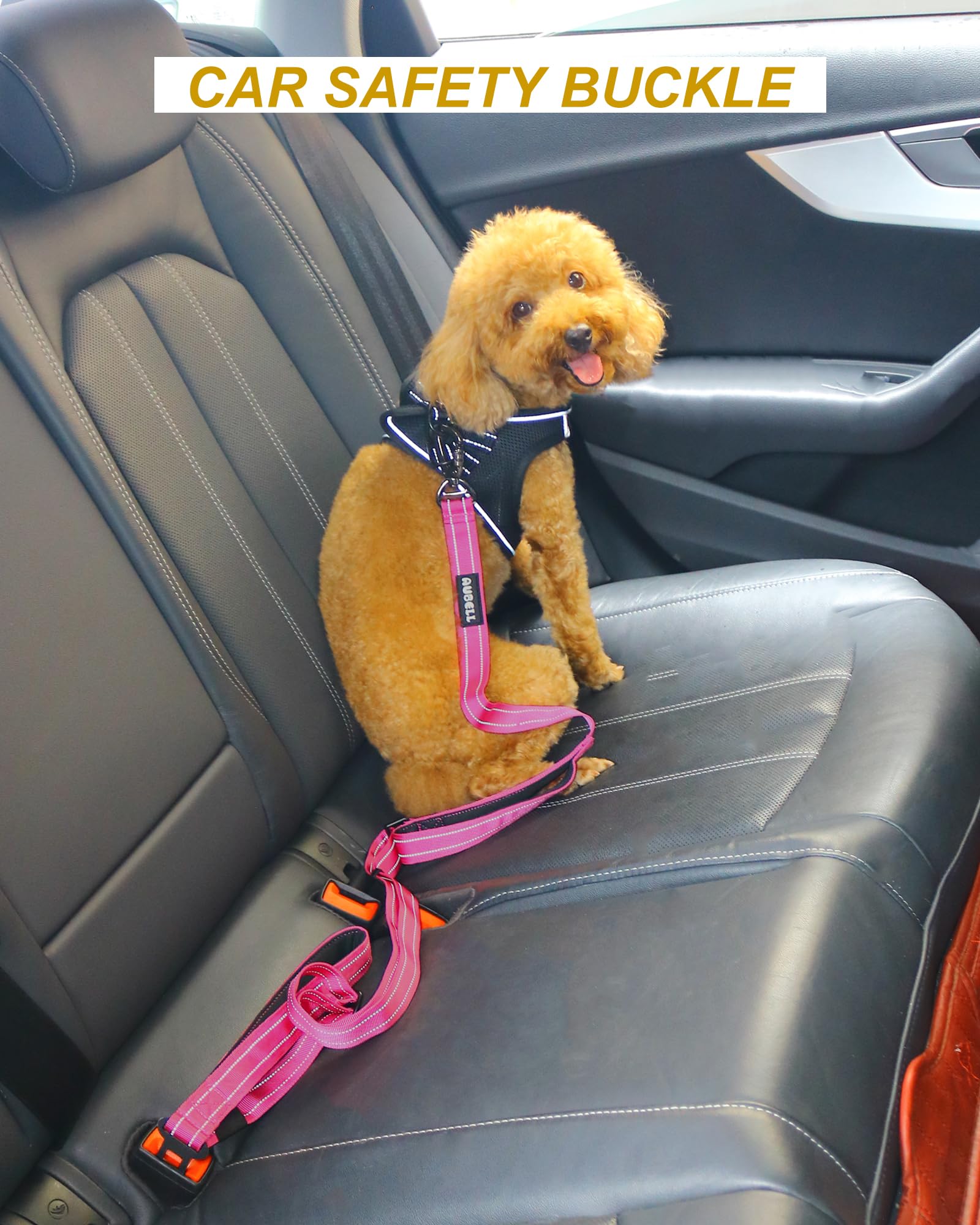 Aubell Double Handle Tactical Dog Leash Heavy Duty For Small And Medium Large Dogs,Reflective Adjustable Nylon Leash That Pull W