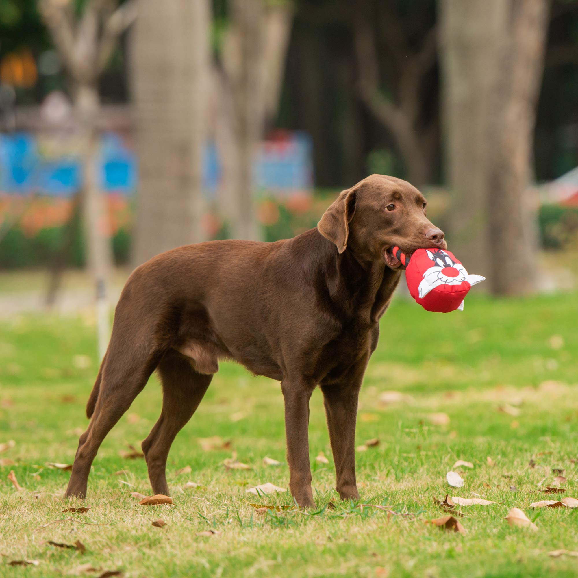 Looney Tunes For Pets Sylvester Rope Head Stuffed Dog Toy For All Dogs | Red, White, And Black Character Plush Fabric Toy For Dogs | Cute Rope Canvas Dog Toy