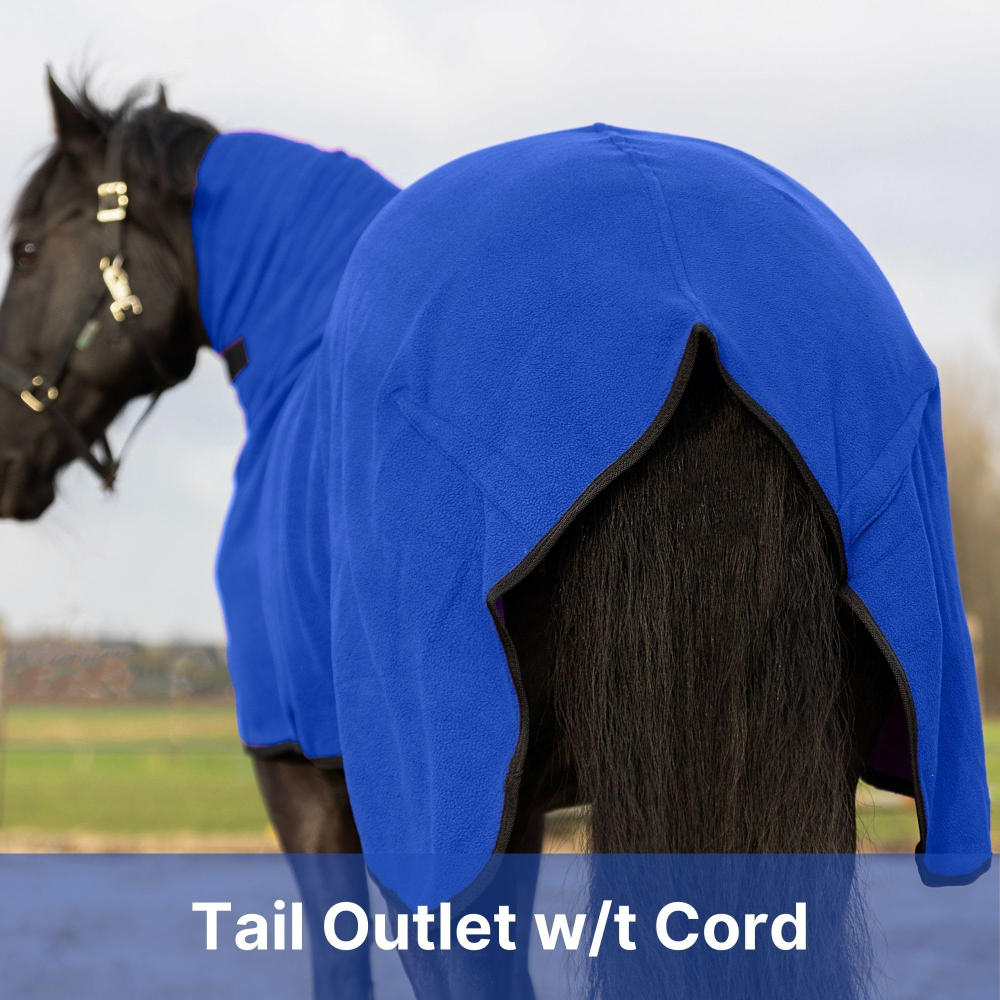 Resistance Long Lasting & Warm Soft Fleece Contour Cooler For Horse (Small (62-66), Royal Blue)