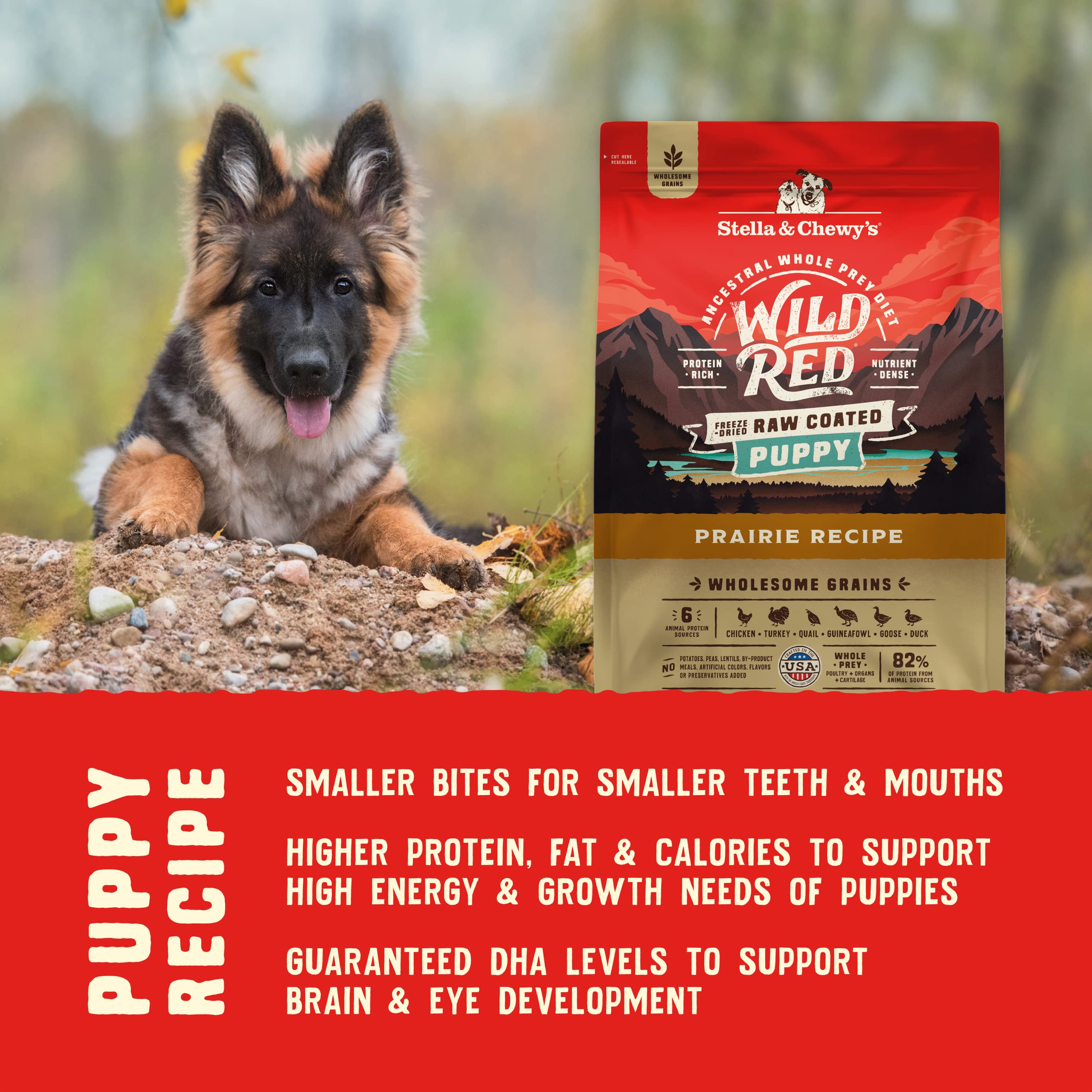Stella & Chewys Wild Red Dry Dog Food Raw Coated High Protein Wholesome Grains Puppy Prairie Recipe, 3.5 lb. Bag
