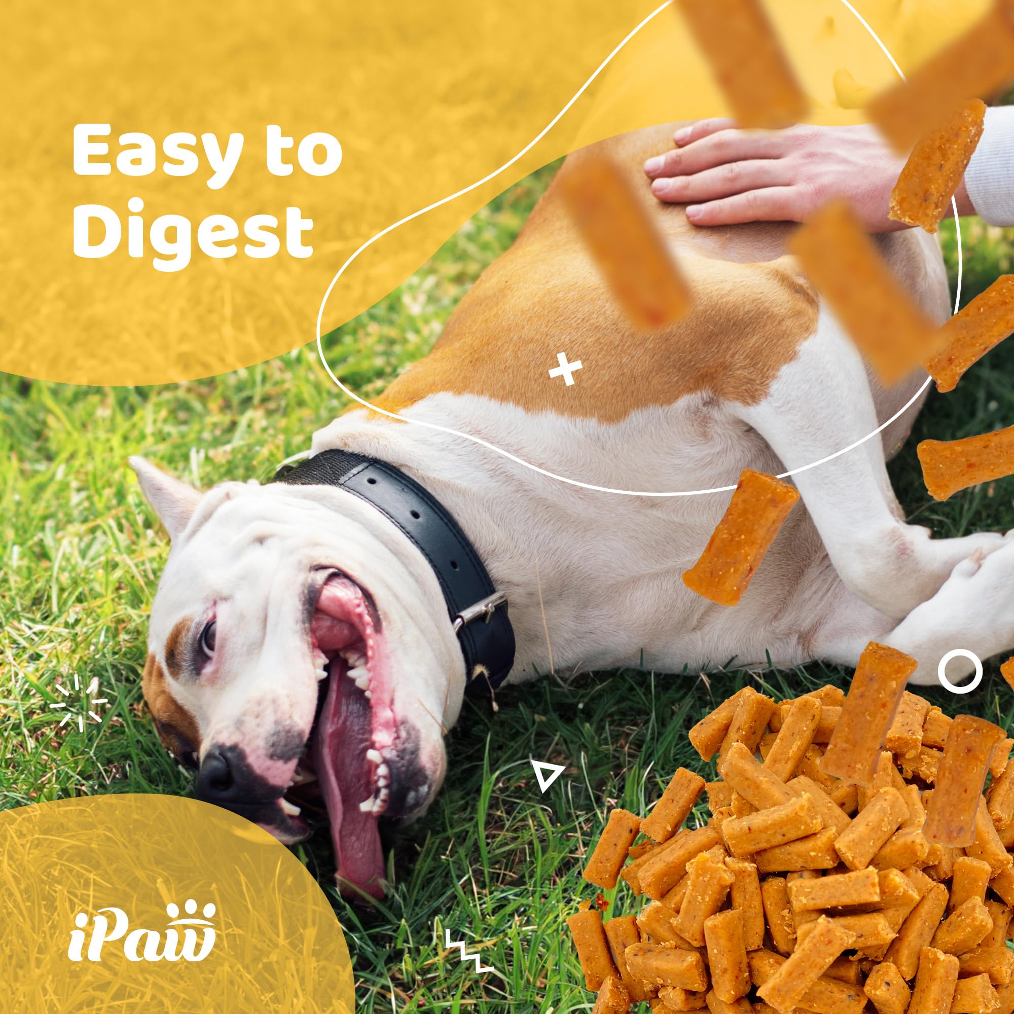 iPaw Dog Treats for Puppy Training, All Natural Human Grade Dog Treat, Hypoallergenic, Easy to Digest (Fish and Cheese Bites)
