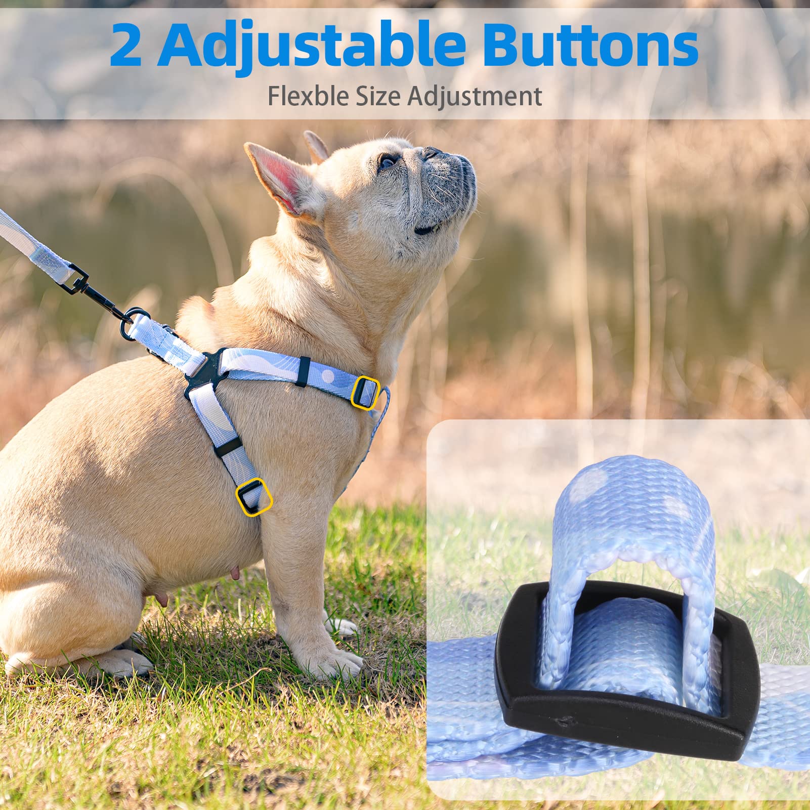 Pupteck Dog Harness And Leash Set No Pull Step In Soft Adjustable Pet Harnesses For Small Medium Dogs Outdoor Walking Training, Blue S