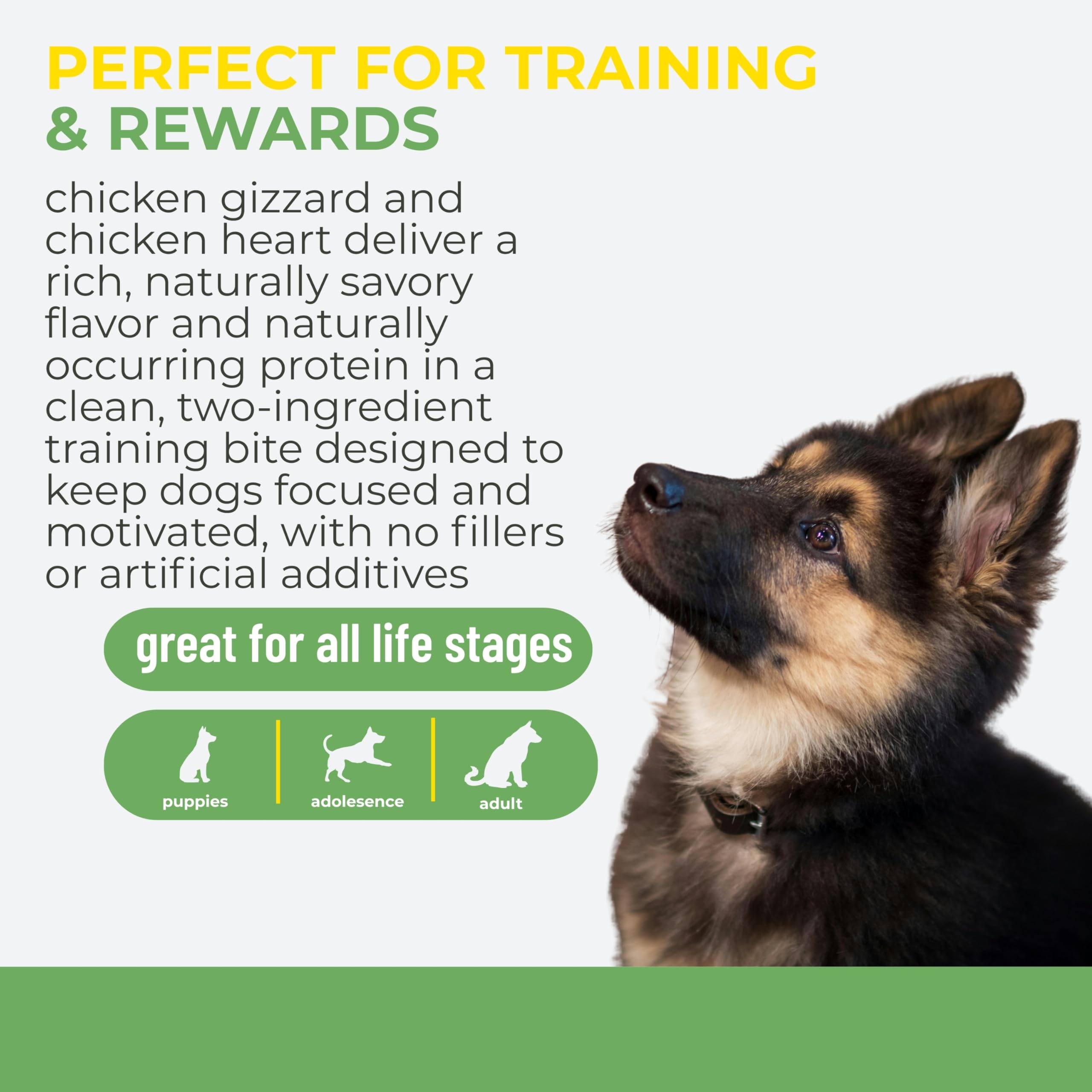 Momentum Carnivore Nutrition Freeze-Dried Chicken Training Bites - Two Ingredients-Chicken Gizzard and Heart, All-Natural Dog Tr