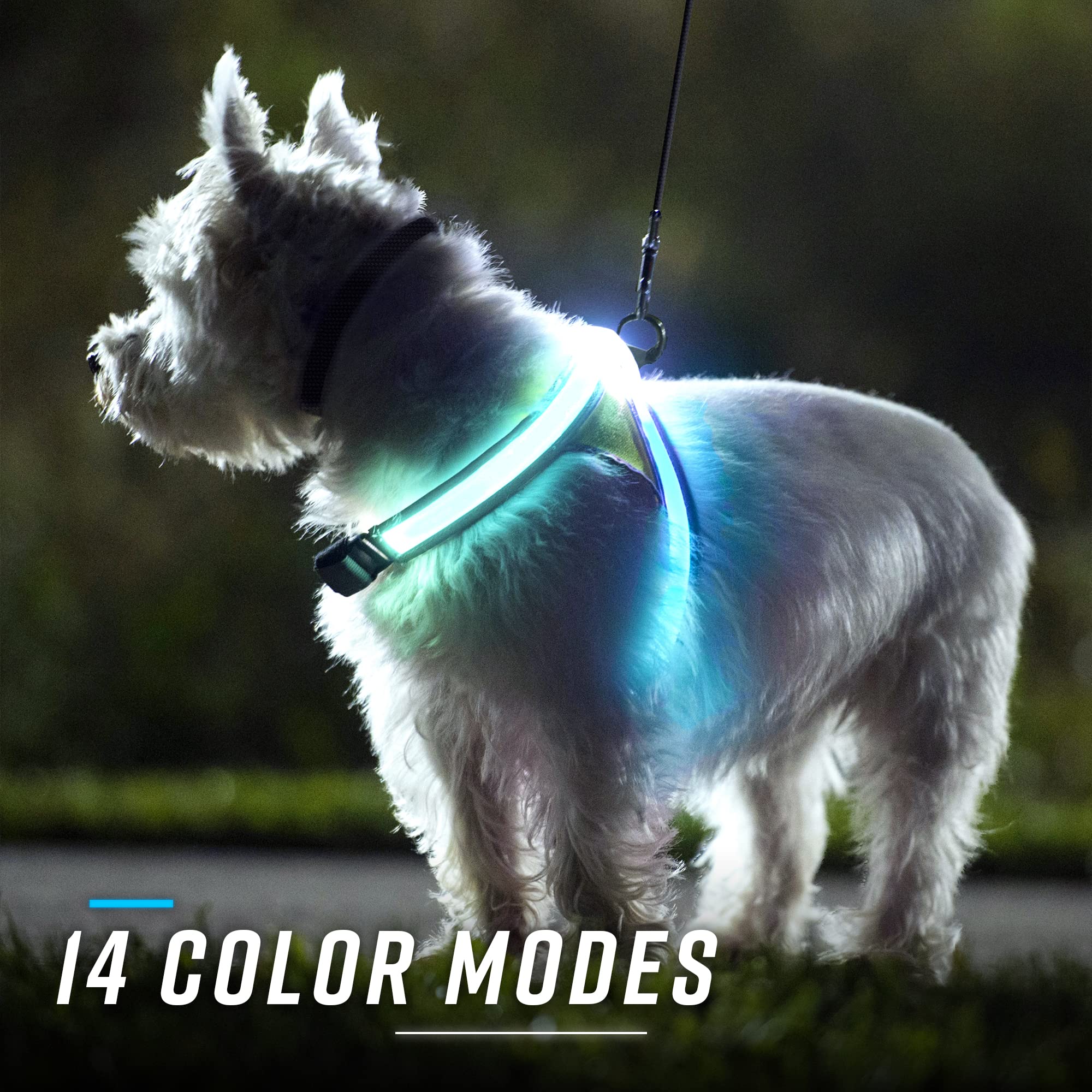 Noxgear Lighthound – Revolutionary Illuminated And Reflective Harness For Dogs Including Multicolored Led Fiber Optics (Usb Rechargeable, Adjustable, Lightweight, Rainproof) (Large)