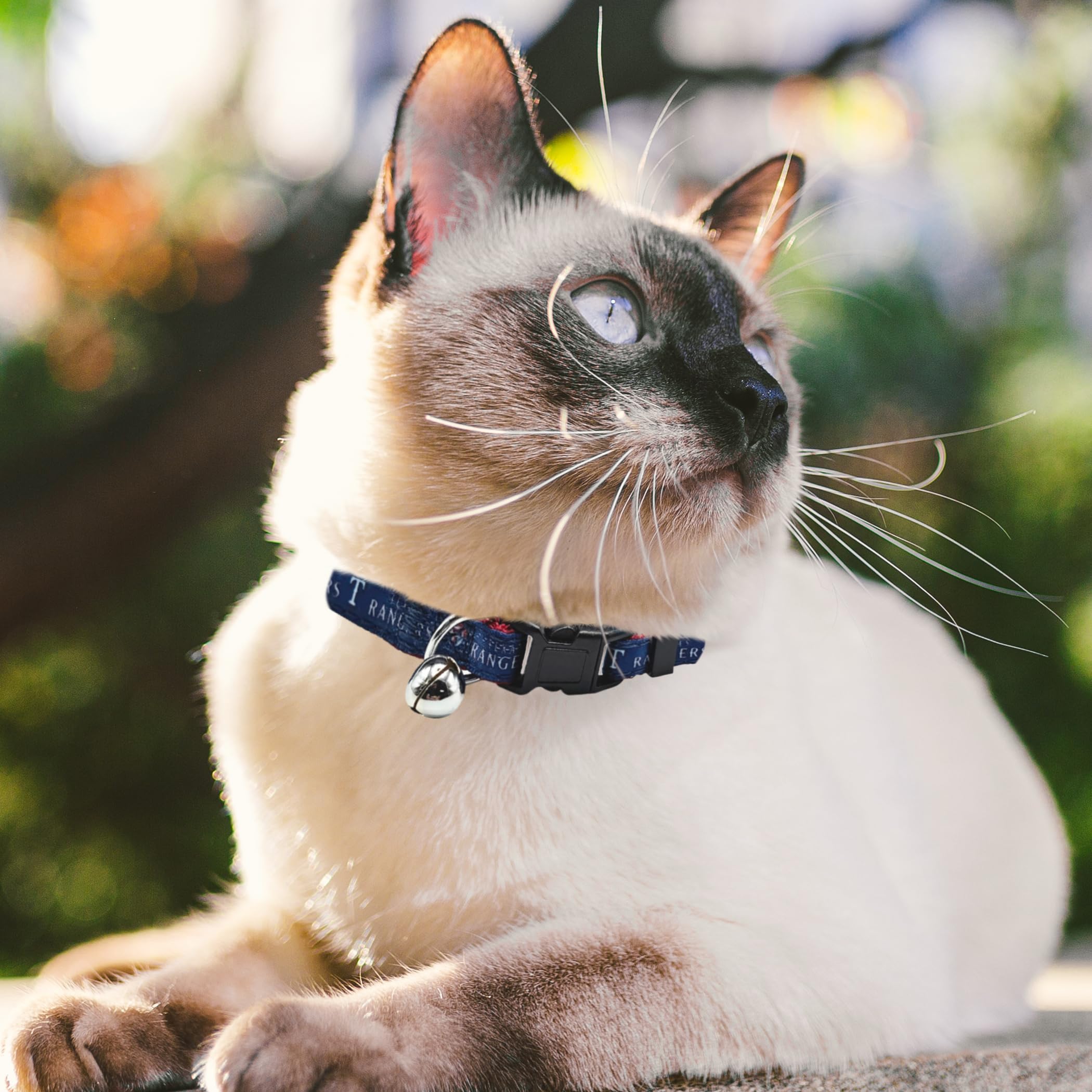 Mlb Cat Collar Texas Rangers Satin Cat Collar Baseball Team Collar For Dogs & Cats. A Shiny & Colorful Cat Collar With Ringing B
