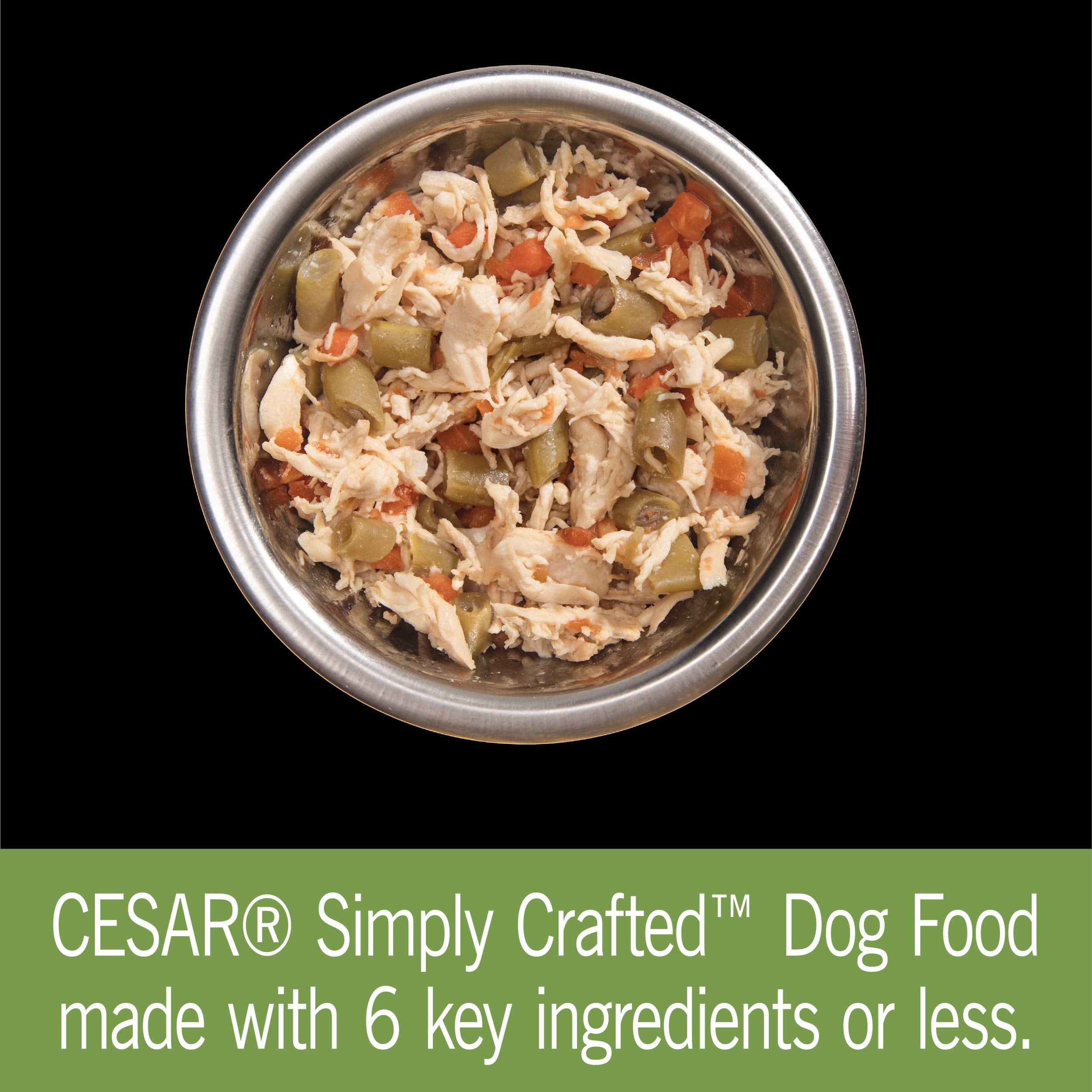 Cesar Simply Crafted Adult Wet Dog Food Meal Topper, Chicken, Carrots & Green Beans, 1.3oz. (10 Count, Pack of 1)