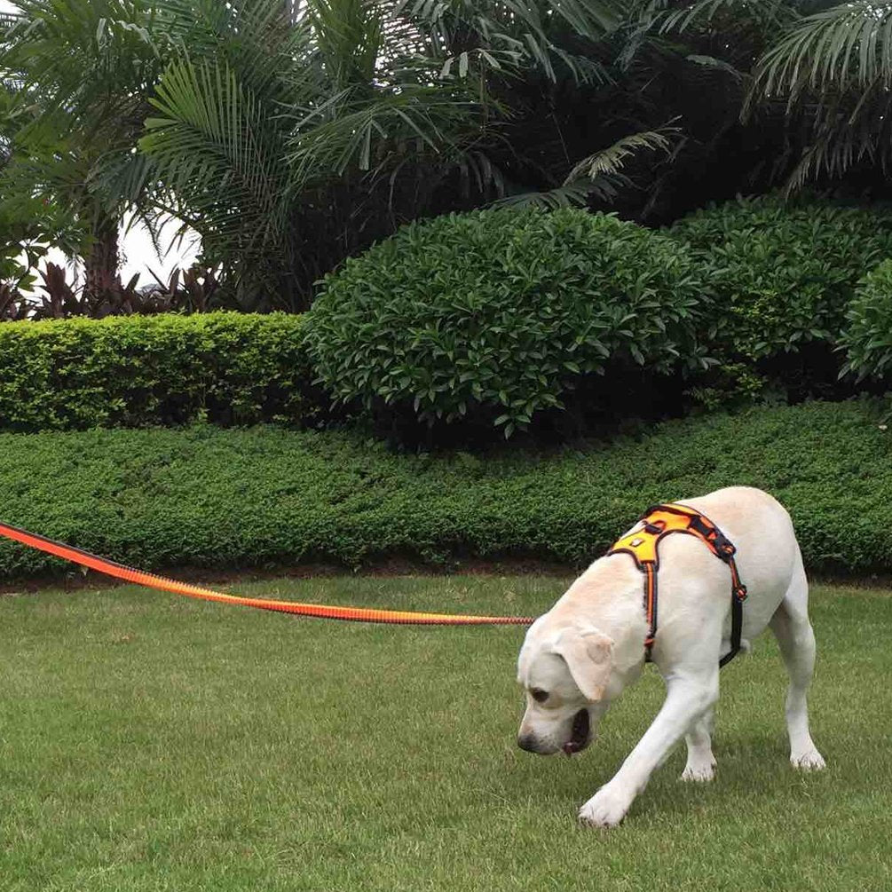 Sgoda Reflective Dog Harness, Dog Vest Harness, No Pull Pet Harness With Handle, Small, Orange