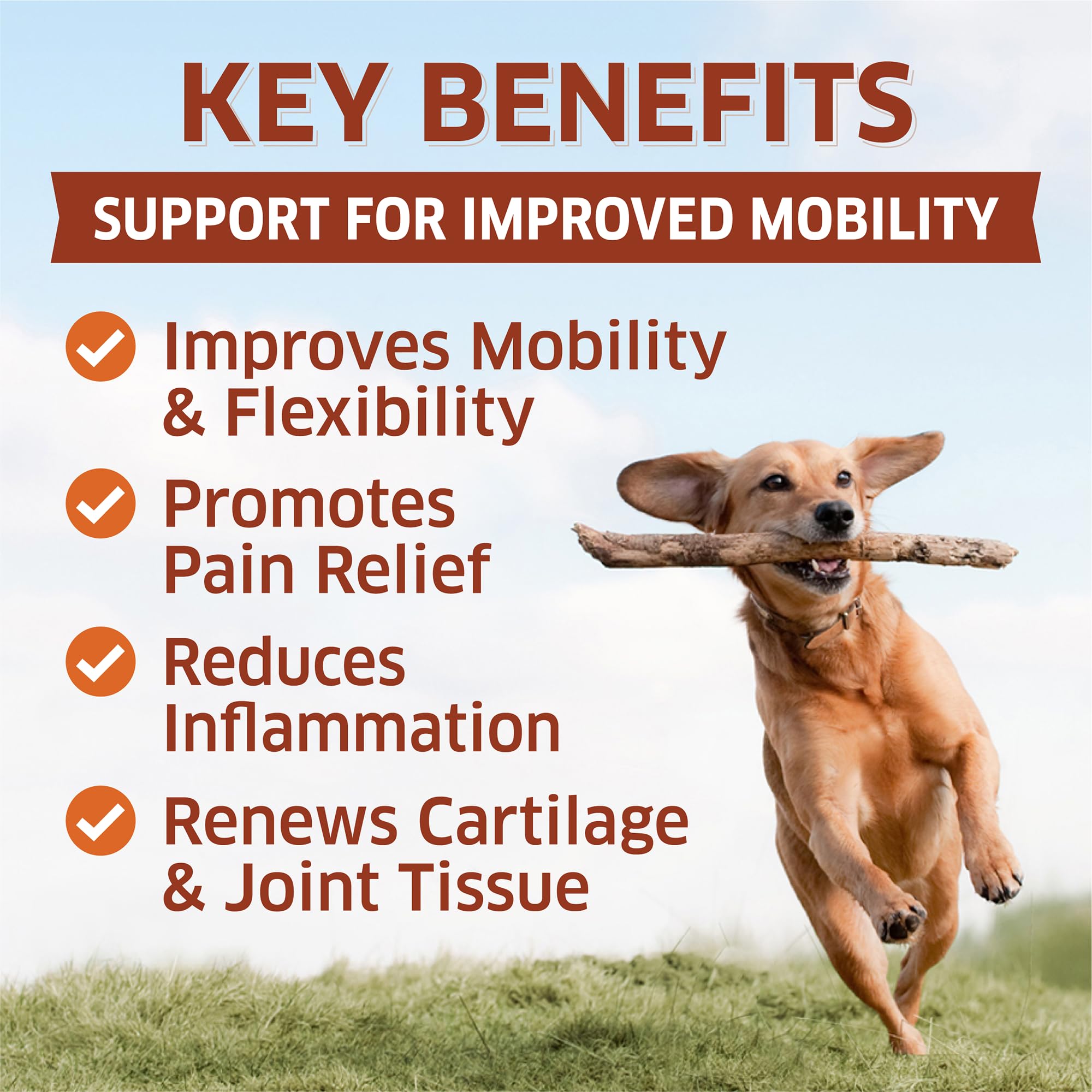 Hemp Hip and Joint Supplement for Dogs - Glucosamine for Dogs - Glucosamine Chondroitin for Dogs with MSM, Hemp, Turmeric & Omeg