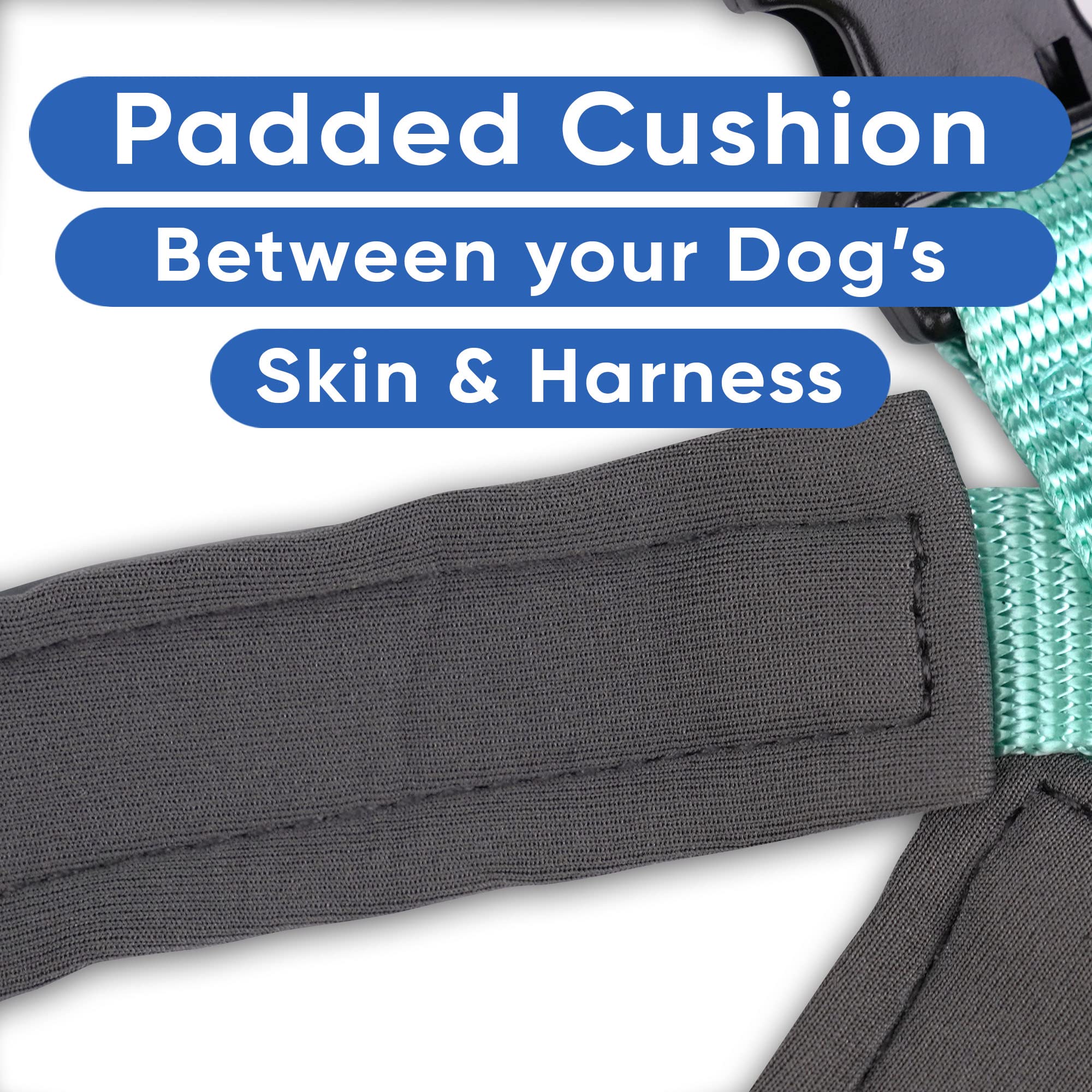 Pawtitas Reflective Dog Harness Padded Dog Harness Provides Comfort Control For A Walk Or Running Great Pet Accessories Dog Vest S Small Teal Dog Harness