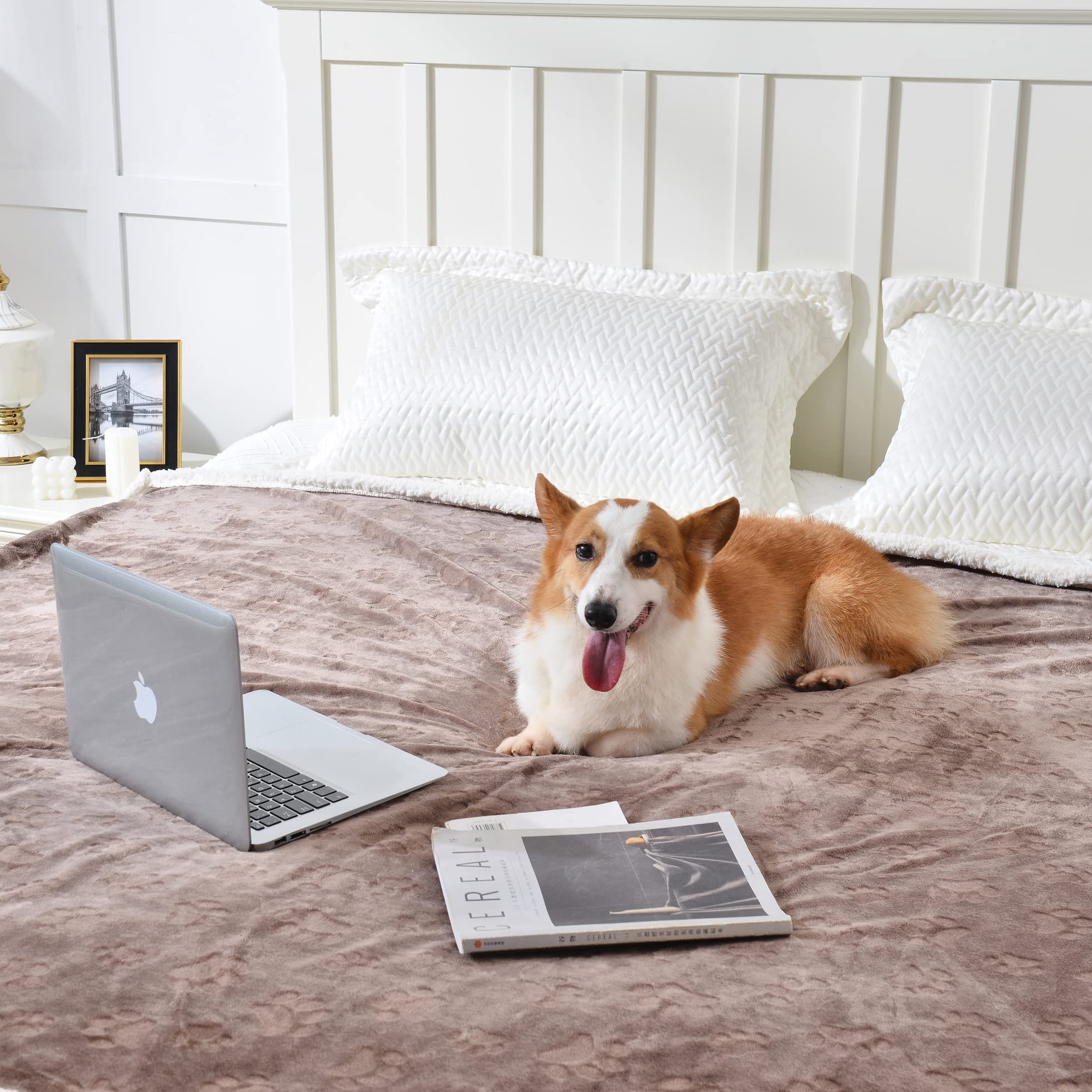 Qeils Dog Blankets For Large Dogs - Waterproof Cat Blanket Washable - Sherpa Fleece Puppy Blanket, Soft Plush Reversible Throw Protector For Bed Couch Car Sofa, 60'X80', Taupe