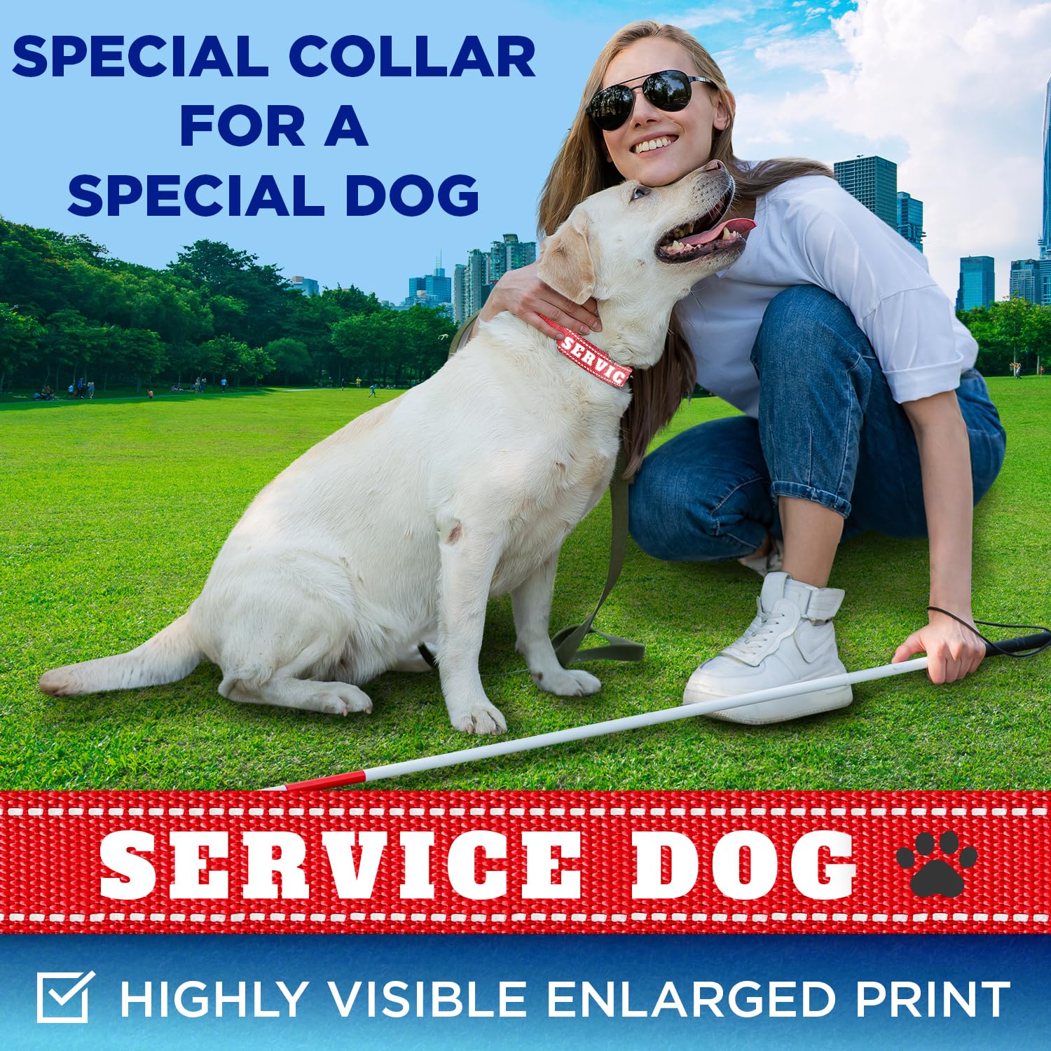 Teceum Reflective Pet Collar - Red - Service Dog - Xs - Extra Soft Padding - Basic Nylon Dog Collar - Quick Release Buckle - Fit