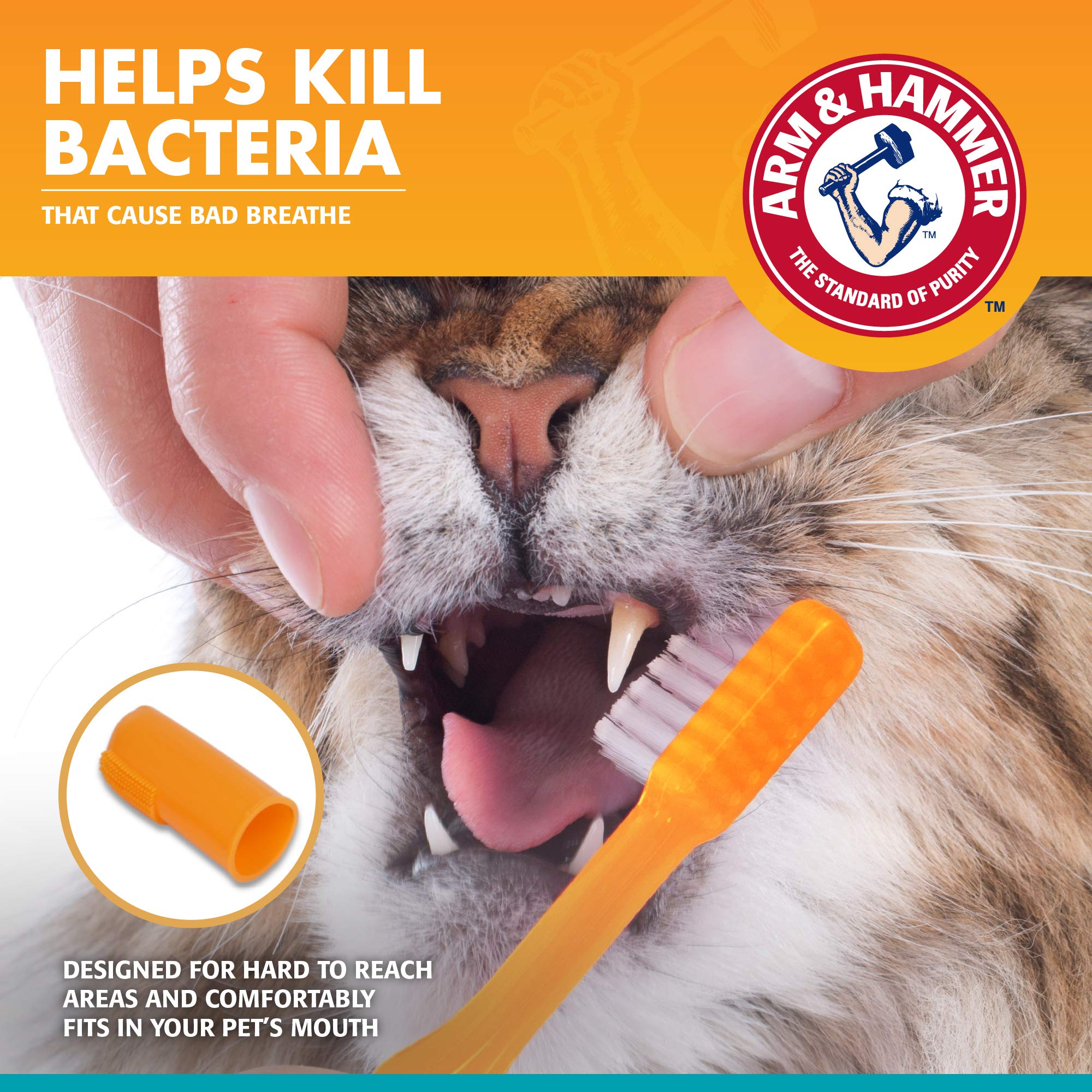 Arm & Hammer for Pets Dental Kit for Cats | Eliminates Bad Breath | 3 Piece Set Includes Cat Toothpaste, Cat Toothbrush & Cat Fi