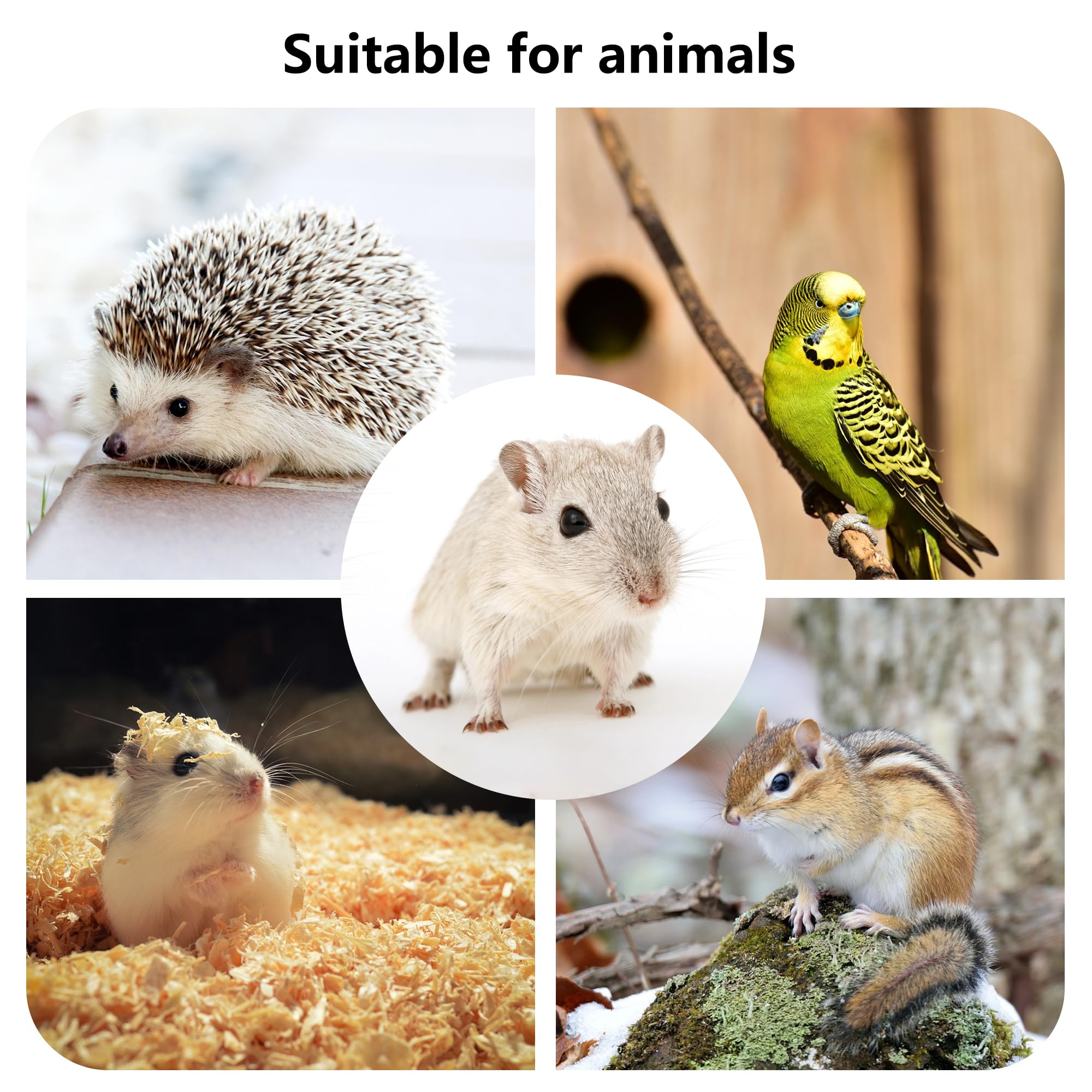 Dvhey Hamster Wooden Platform With Legs Small Animal Climbing Ladder Standing Rat Guinea Perch Chew Toy Cage Accessories (Platfo