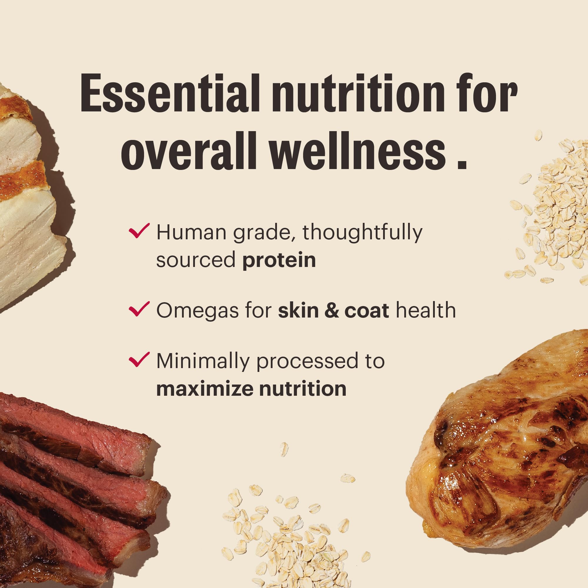 The Honest Kitchen Human Grade Essential Clusters Dog Whole Grain Turkey & Chicken 5 lb Bag