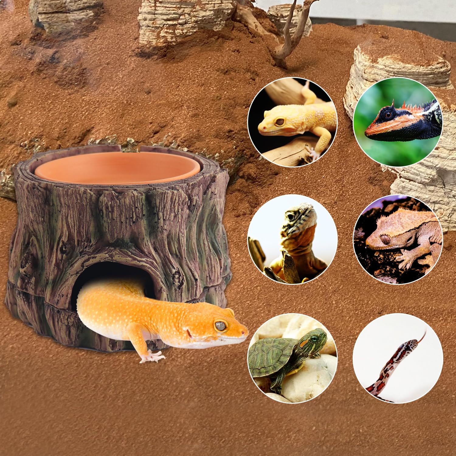 SORWATEE 3 in 1 Reptile Hide Cave with Humidifying Basin & Detachable Base, Terrarium Tank Decor Moisture Keeping Hideout Cave f