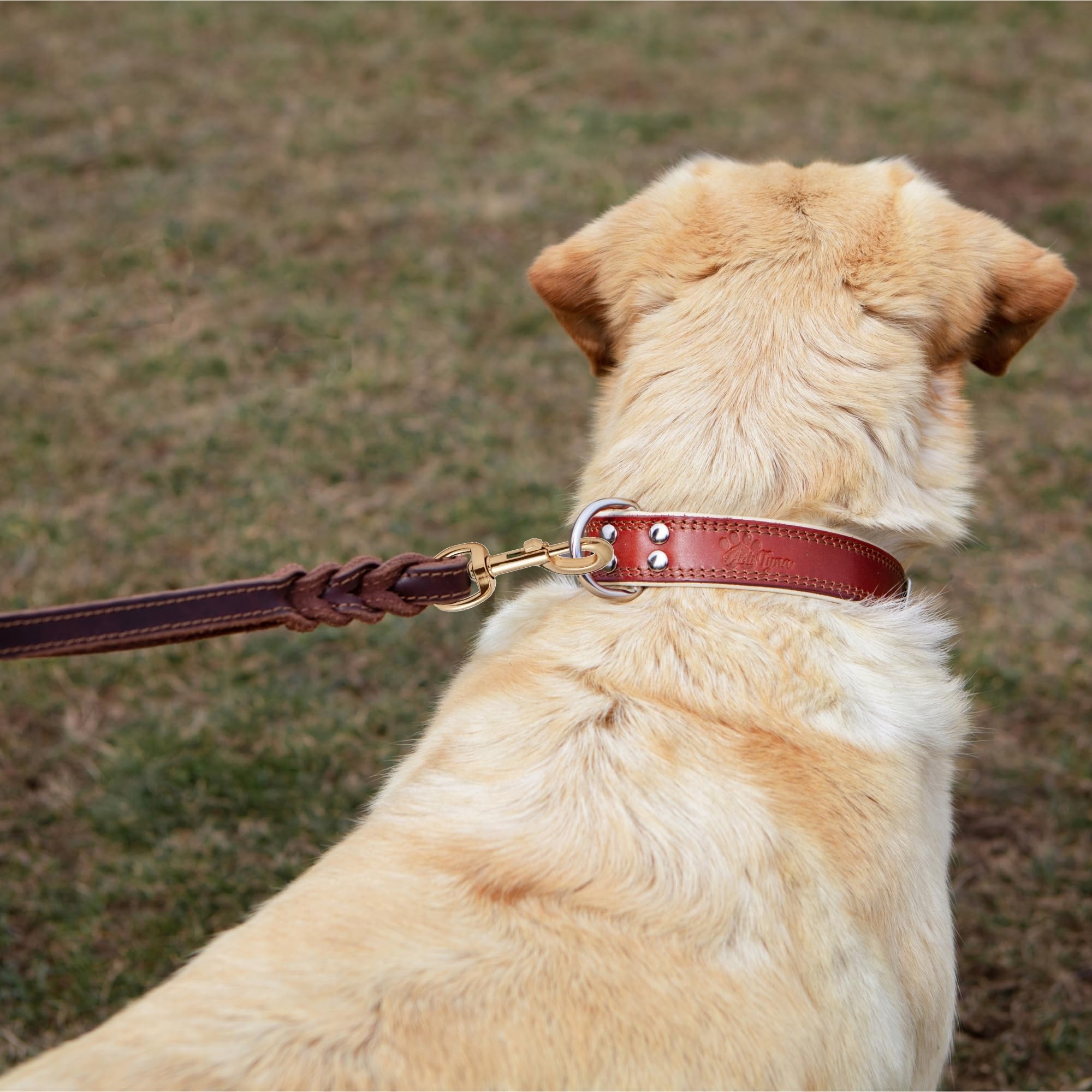 Adityna Double Handle Leather Dog Leash 6Ft - Heavy Duty Braided Leash With Traffic Handle - Lead For Training And Walking Medium & Small Dogs
