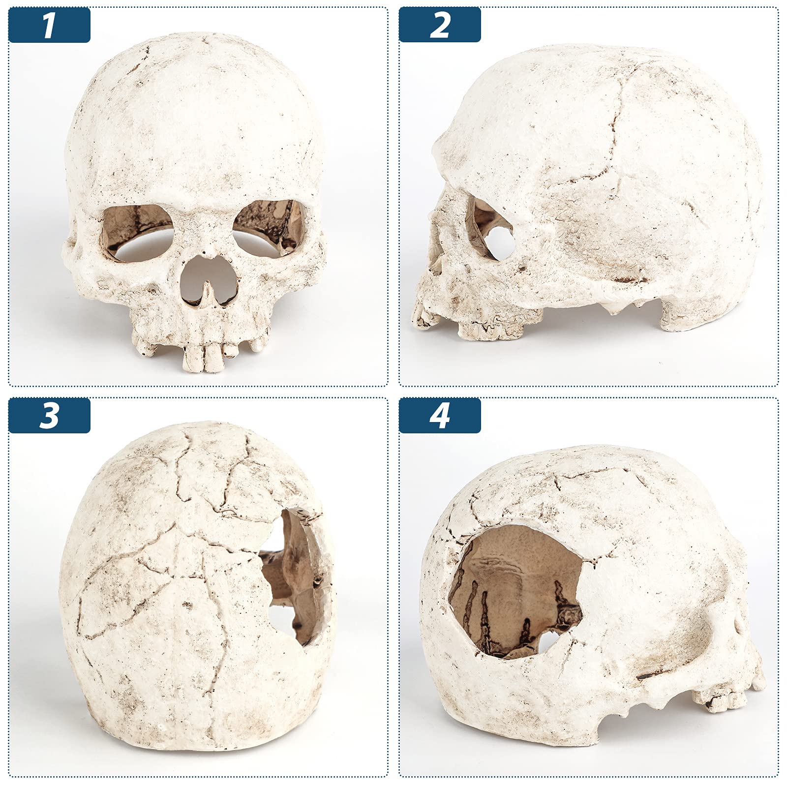 Uniclife Aquarium Skull Reptile House Decor Resin Head Skeleton Ornament For Tank Landscape Decorative Hideout Cave Shelter For Small Fish Shrimp Snail Gecko Spider Lizard In 5-20 Gallon Fish Tank