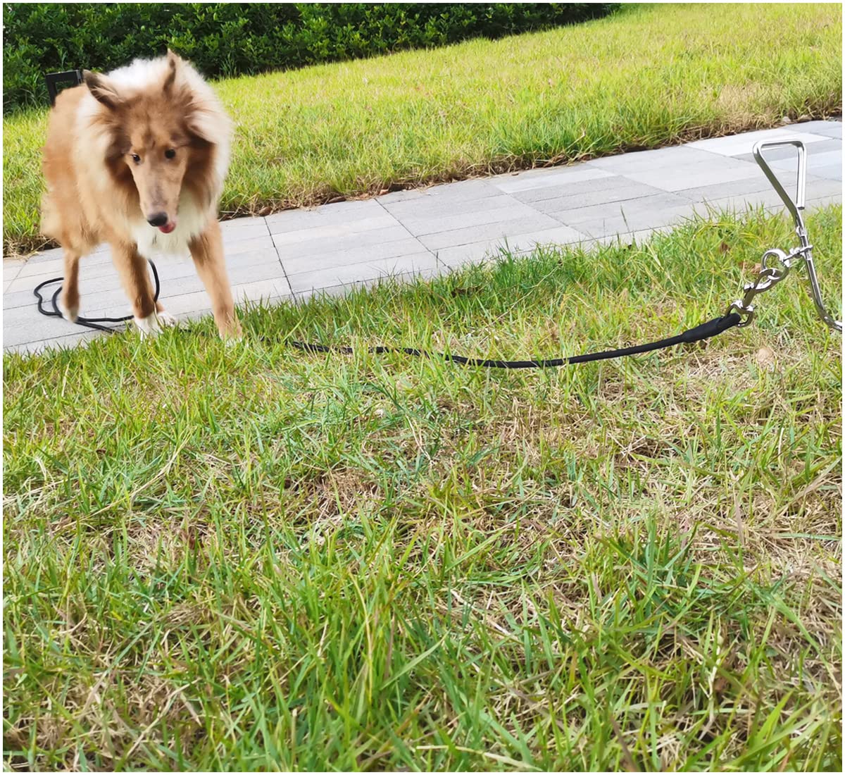 Sepxufore Tie Out Rope Dog Leash, 8-10-13-15-20-25-30-35-40-45-50 Ft Heavy Duty Nylon Check Cord For Medium Large Dogs Indoor/Ou