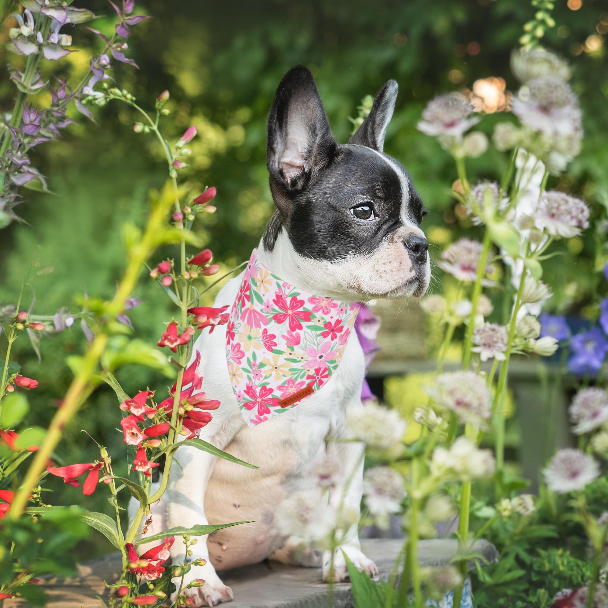 Adoggygo Floral Dog Bandanas 2 Pack, Triangle Reversible Pink White Flower Dog Scarf, Premium Durable Fabric, Pet Floral Bandana