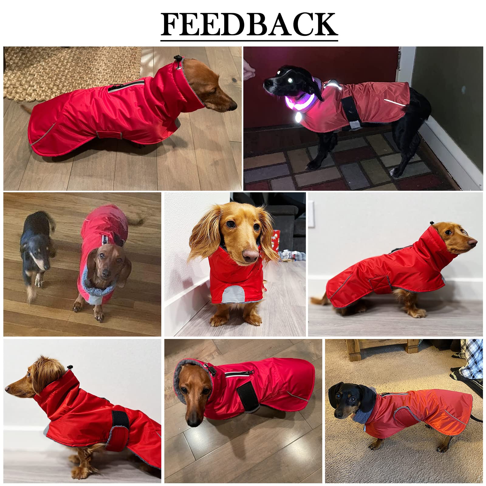 Dachshund Coats Waterproof, Perfect For Dachshunds, Sausage, Weiner Dog Winter Coat With Padded Fleece, Puppy Snowsuit With Adjustable Bands And High Vis Reflective Trim - Black - L