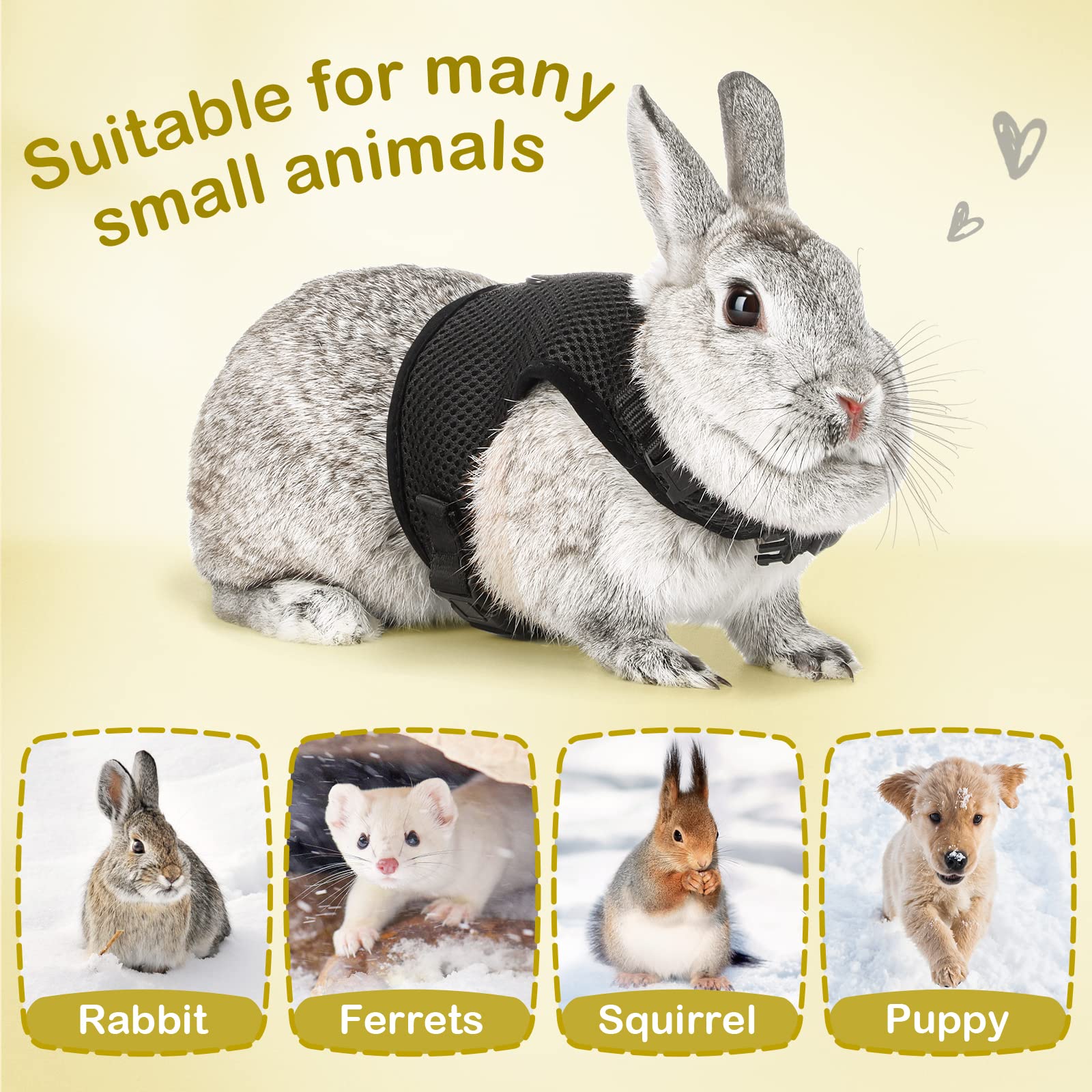 Pettom Bunny Rabbit Harness With Stretchy Leash Cute Adjustable Buckle Breathable Mesh Vest For Kitten Small Pets Walking (L(Che