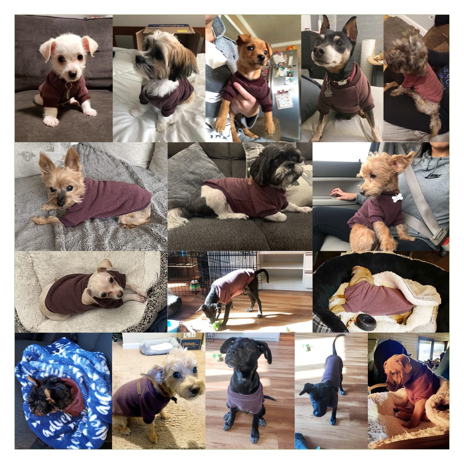 Jecikelon Dog Clothes Dogs Sweater Soft Puppies Clothing Winter Puppy Sweaters Warm Outfit For Dogs Small Xxs Xs Cat Apparel (Br