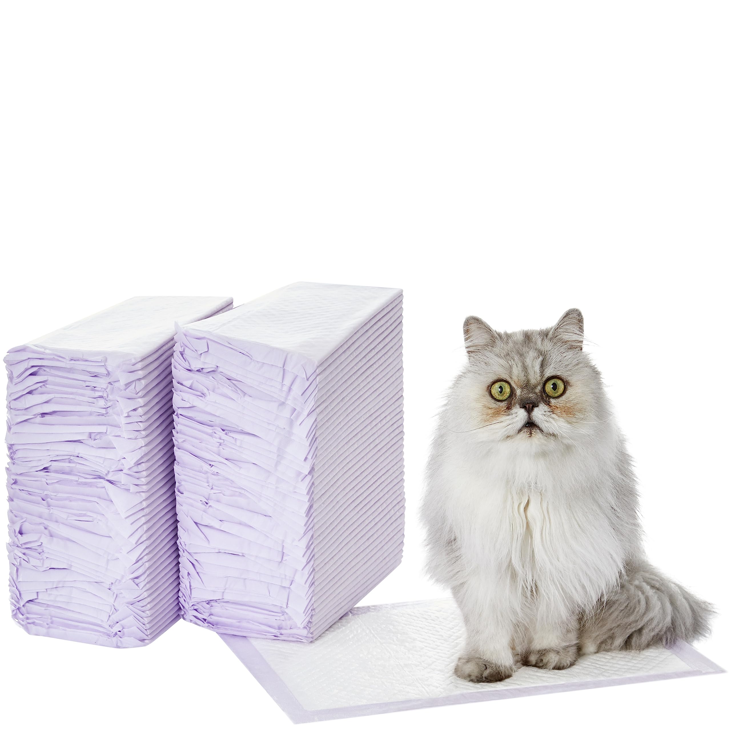 Amazon Basics Cat Pee Pads, 80 Count, Universal Fit For Litter Box, Odor Control, Unscented, White/Purple