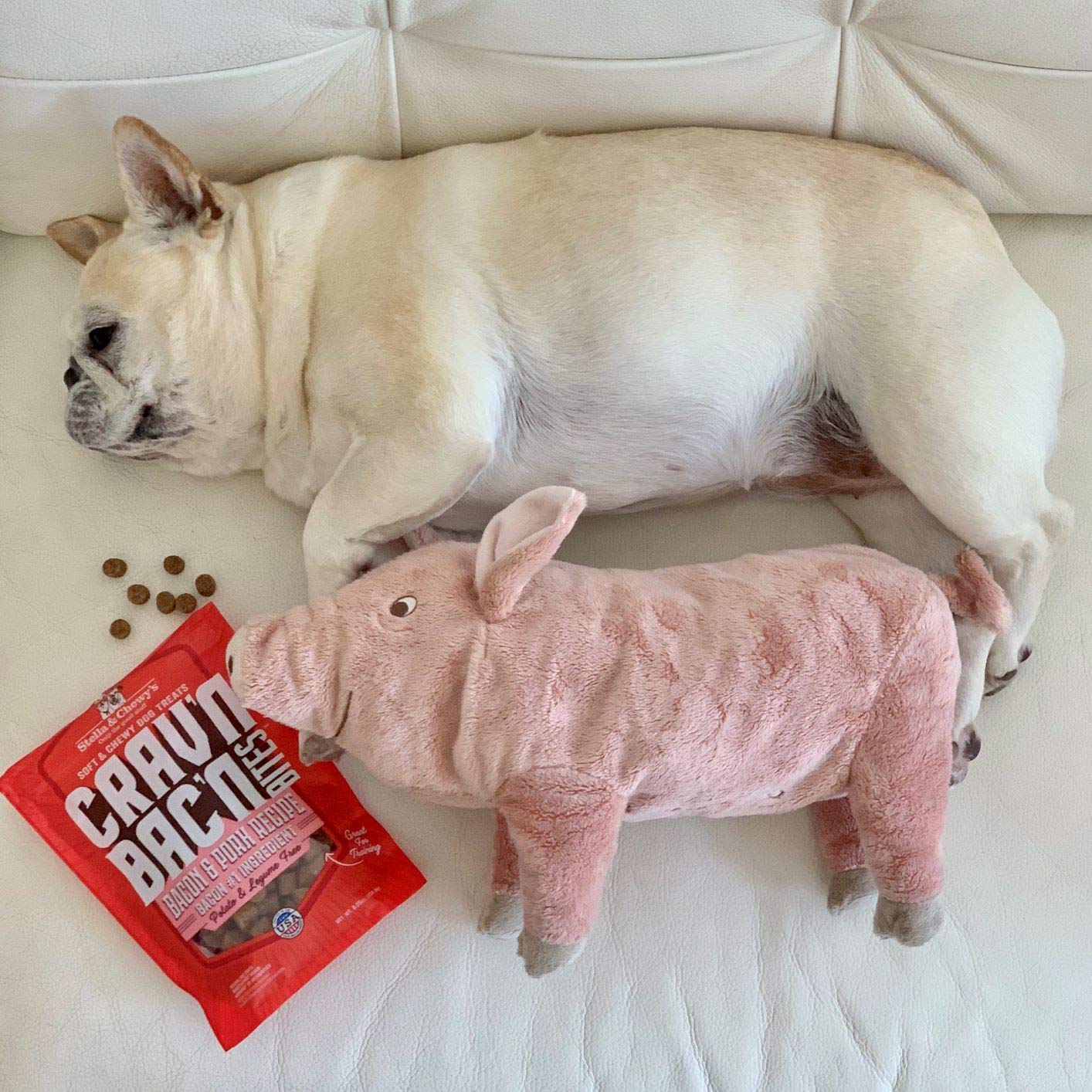 Stella & Chewys Training Dog Treats - Cravn Bacn Soft Bacon & Pork Bites - Premium USA Made - Low Calorie Rewards - 8.25oz
