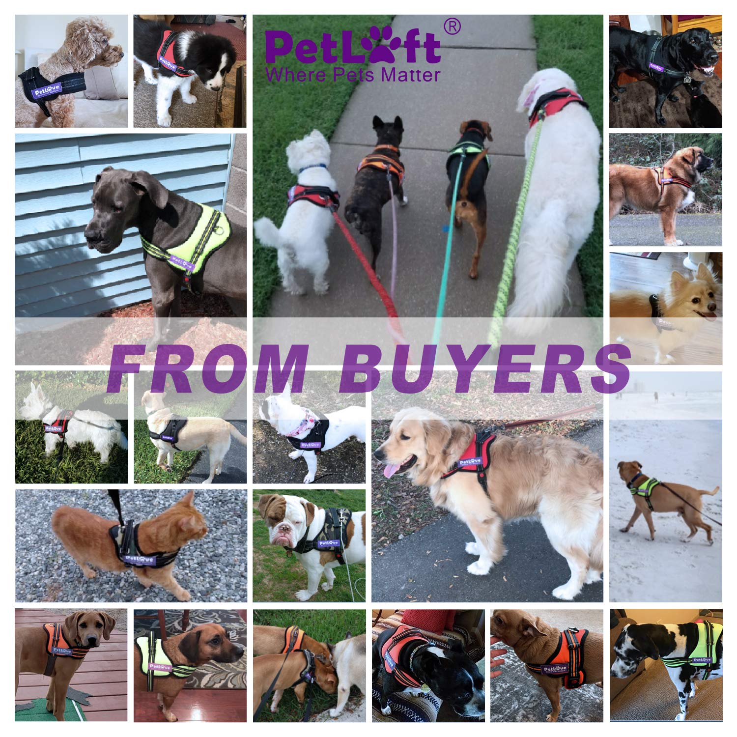 Petlove Dog Harness, Adjustable Soft Leash Padded No Pull Dog Harness For Small Medium Large Dogs, Black