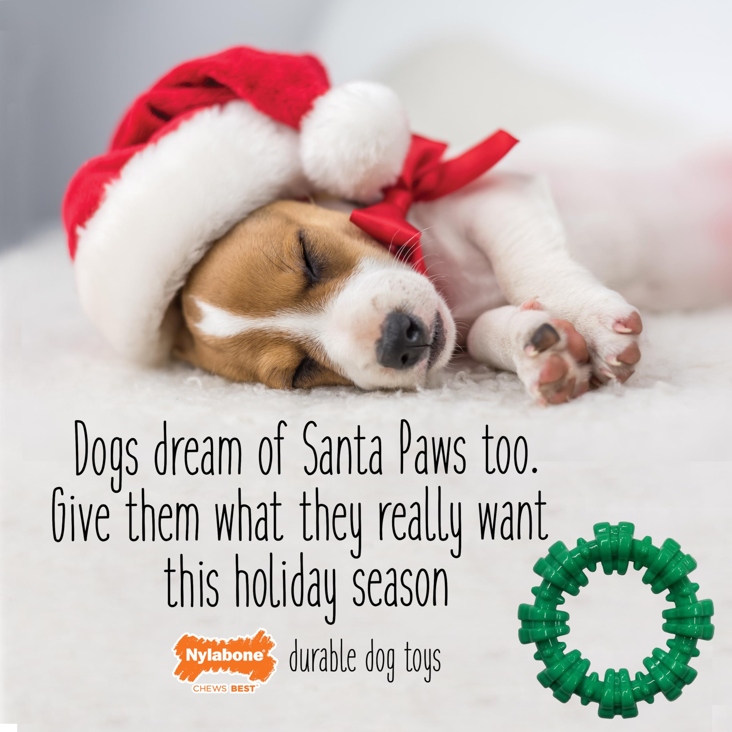 Nylabone Textured Ring Power Chew Toy For Dogs, Dog Toys For Aggressive Chewers, Winter Green Flavor, Small - Up To 25 Lbs, 1 Count