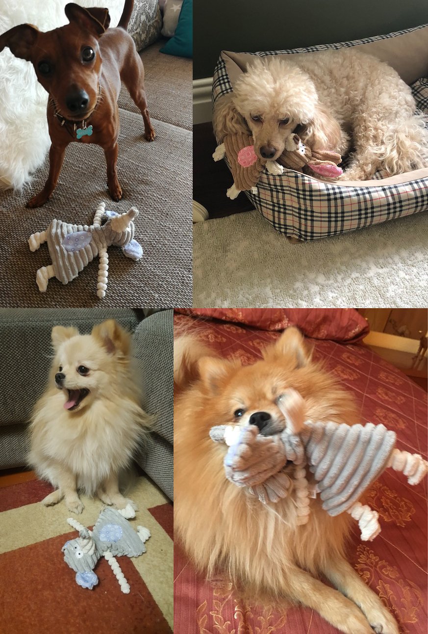 Comtim No Stuffing Dog Toys with Squeaker, Durable Dog Chew Toys, Small Dogs & Puppies, Rabbit & Elephant