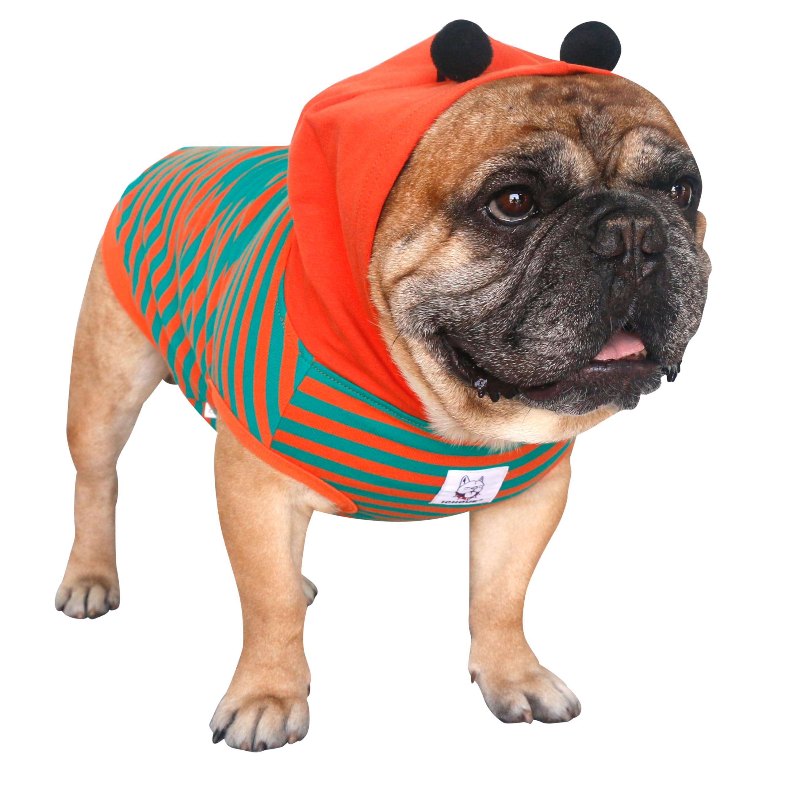 Ichoue I Am A French Bulldog Bumble Bee Halloween Costumes Clothes Hoodies Shirts Vest For Medium Dogs Cold Weather Winter Coats Frenchie English Pug Pitbull Boston Terrier - Orange Green, Large