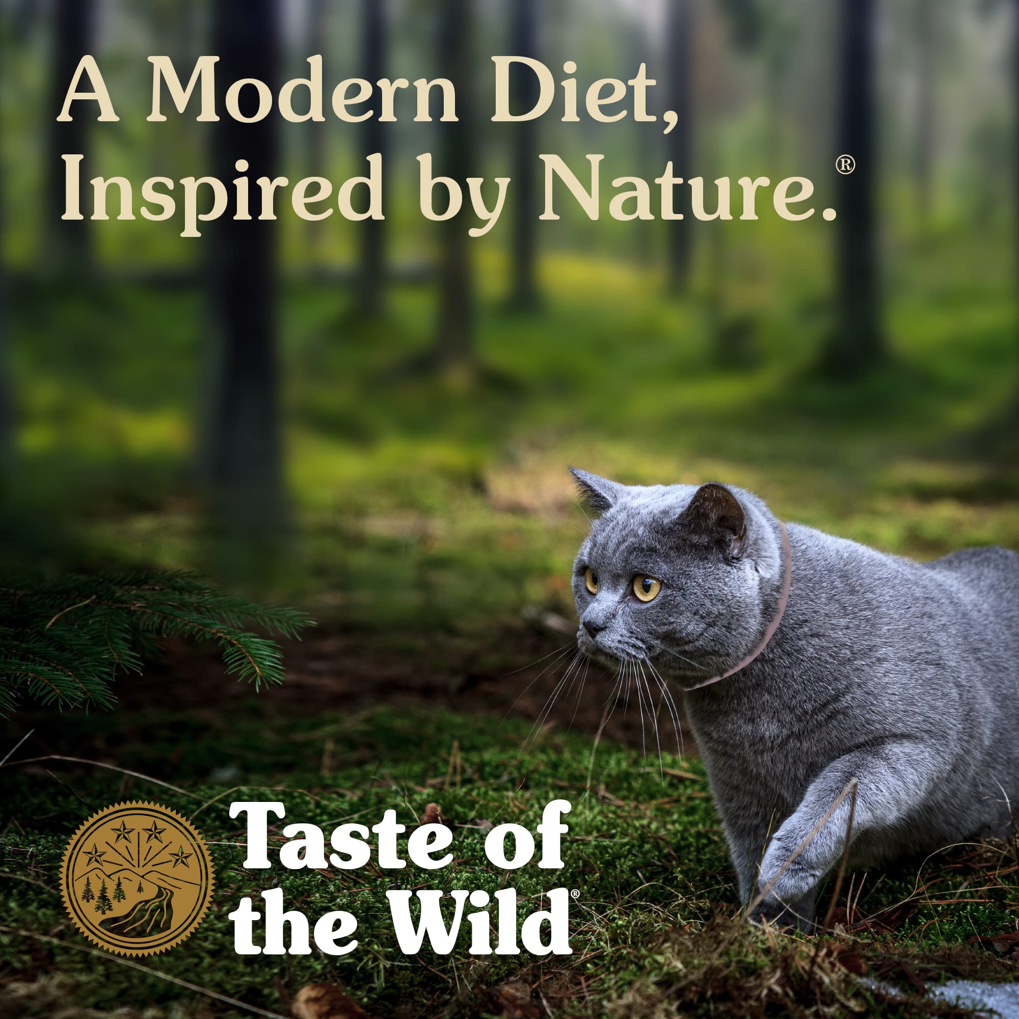 Taste Of The Wild Canyon River Grain-Free Dry Cat Food With Trout & Smoke-Flavored Salmon 14lb