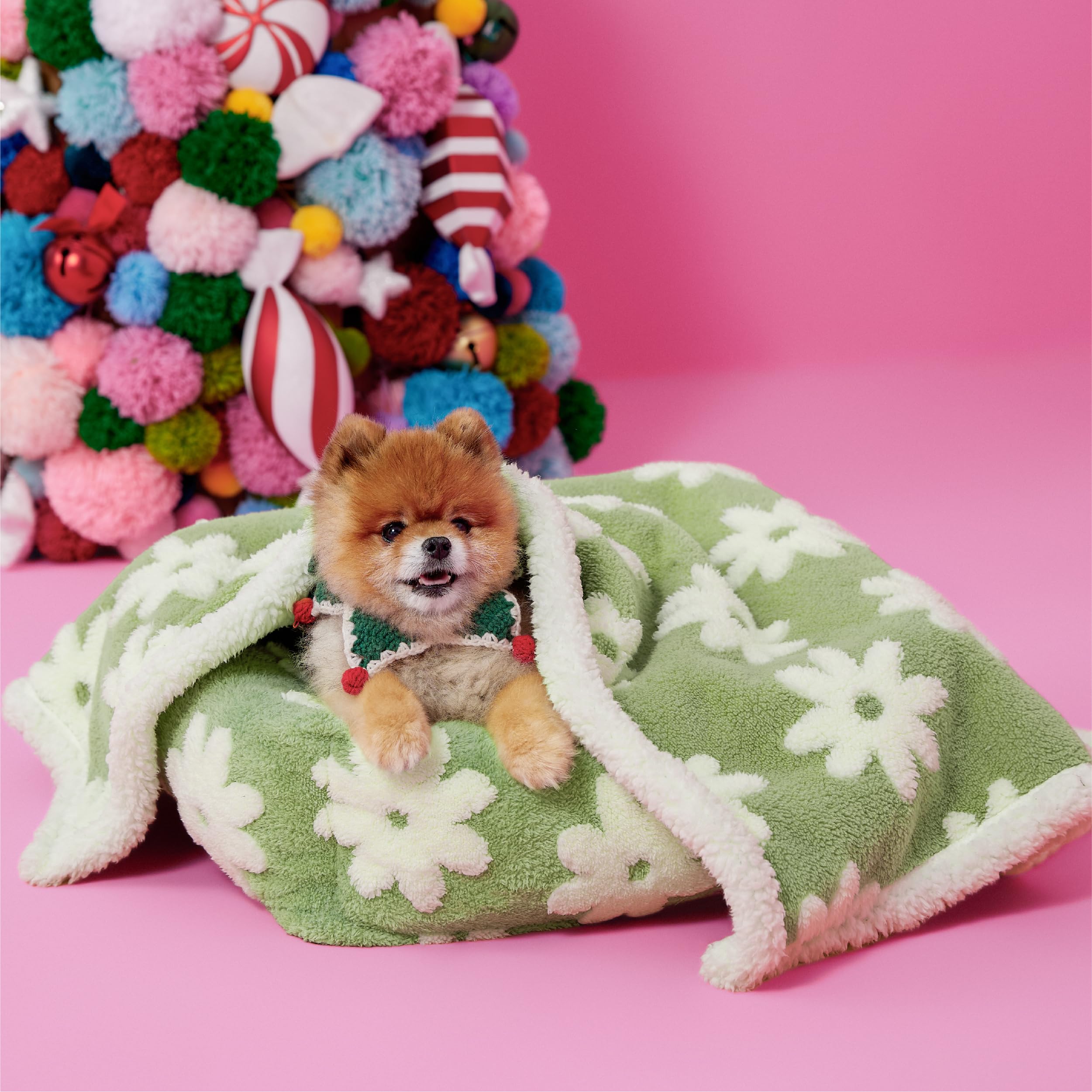 Lesure Waterproof Puppy Blanket For Small Dogs - Washable Double Sided Dog Blankets With Warm Jacquard Shag And Soft Sherpa Fleece, Pet Cat Blanket For Couch Protection, 3D Textured Cloud, Green