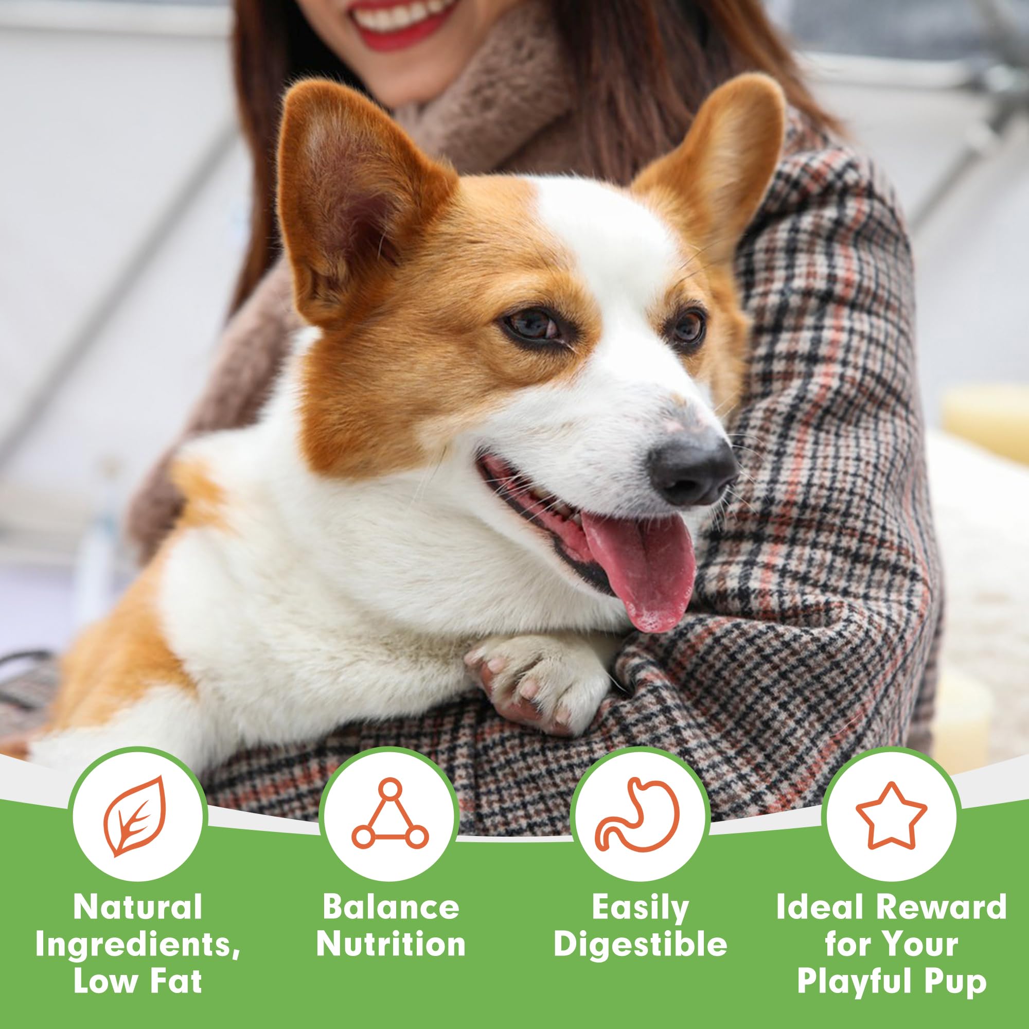 MON2SUN Dog Treats, Chicken Jerky Strips for Small Dogs, High Protein & Grain Free Snacks, Easy to Digest Training Treats (Chick