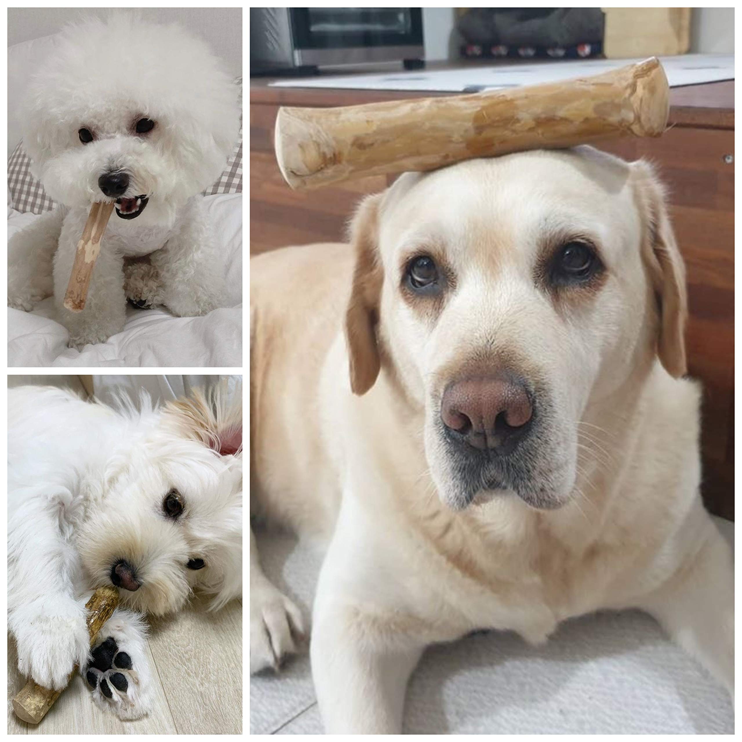 Pet Full House WoofWood Dog Chew Sticks
