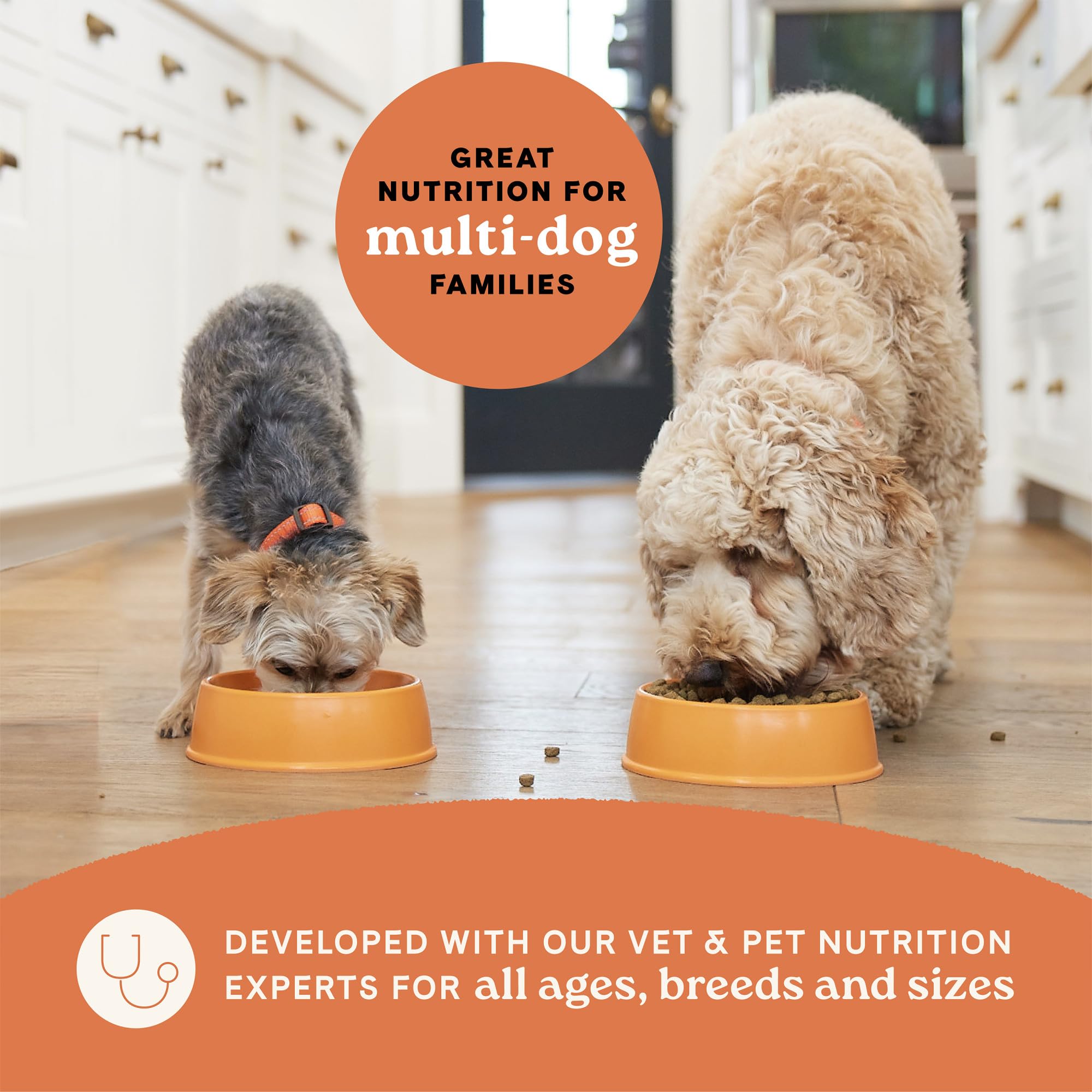 Canidae All Life Stages Real Chicken & Potato Recipe - High Protein and Grain-Free Premium Dry Dog Food for All Ages, Breeds, an