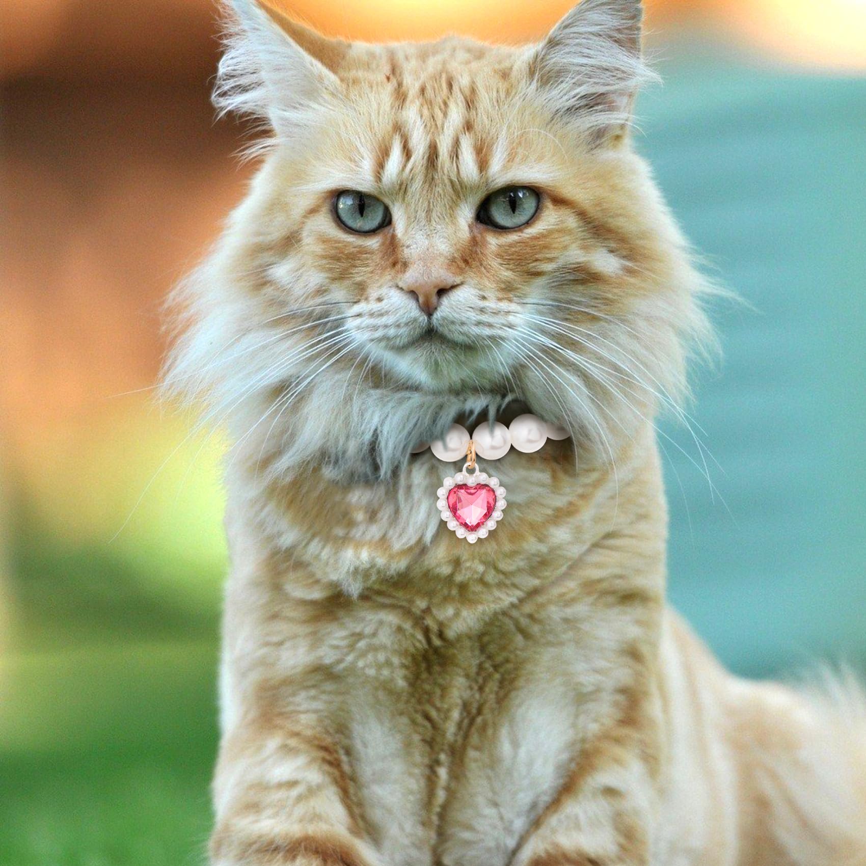 Mxxipp 2Pcs Cat Dog Pearl Collar, Small Heart Shape Rhinestone Pet Necklace, Adjustable Wedding Party Pet Jewelry Accessories Fo