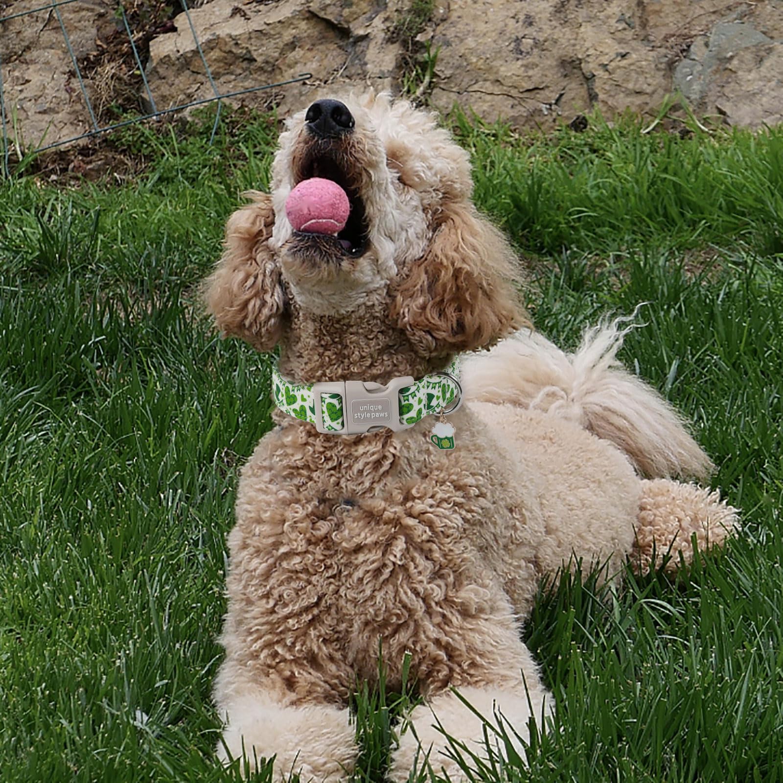 Unique Style Paws St. Patrick'S Day Dog Collar Plastic Buckle Collar With Pendant Green Lucky Magic Hat Gift For Small Medium La