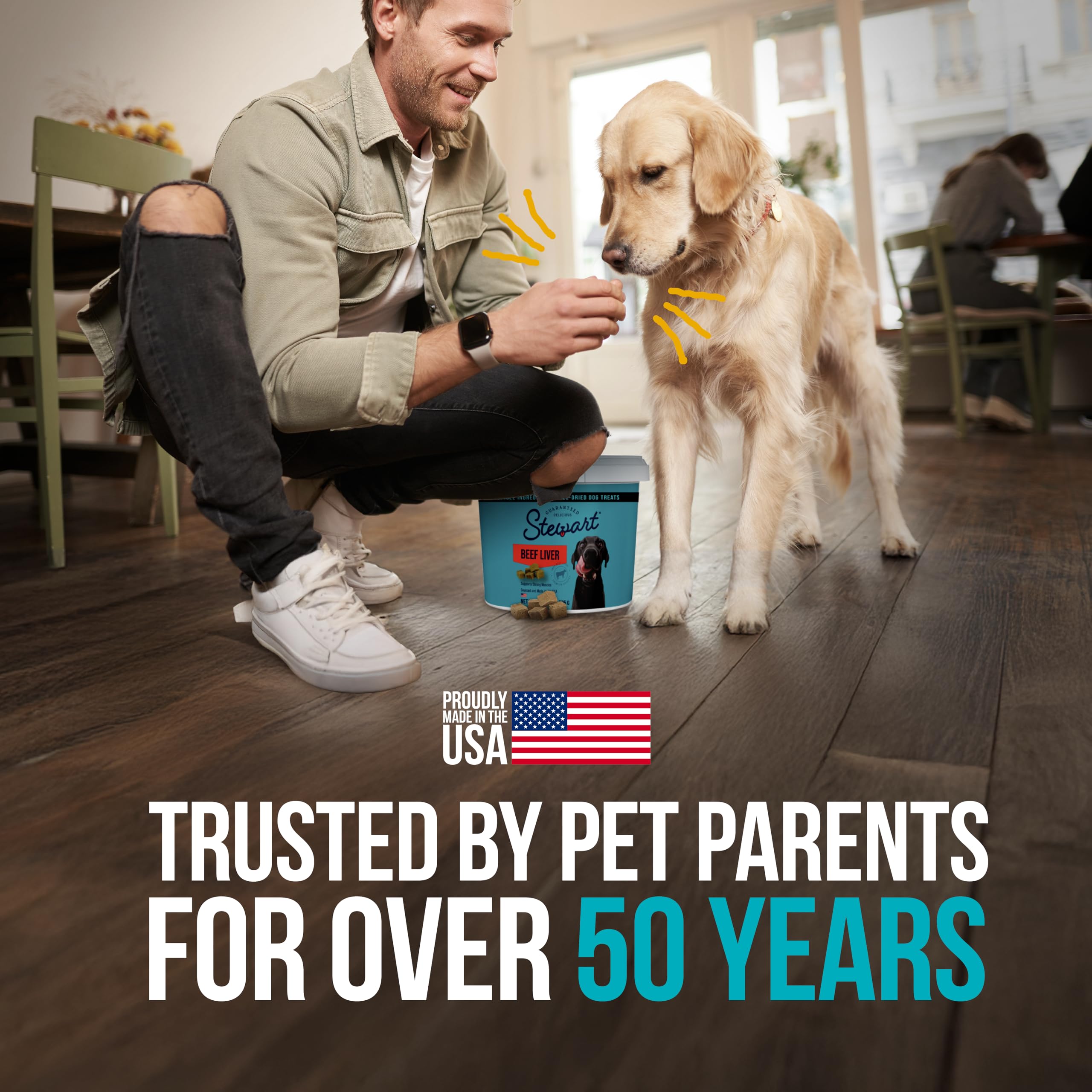 Stewart Single Ingredient Freeze Dried Raw Dog Treats, Beef Liver, 4 Ounce Resealable Tub, Training Treats or Meal Topper Dogs,