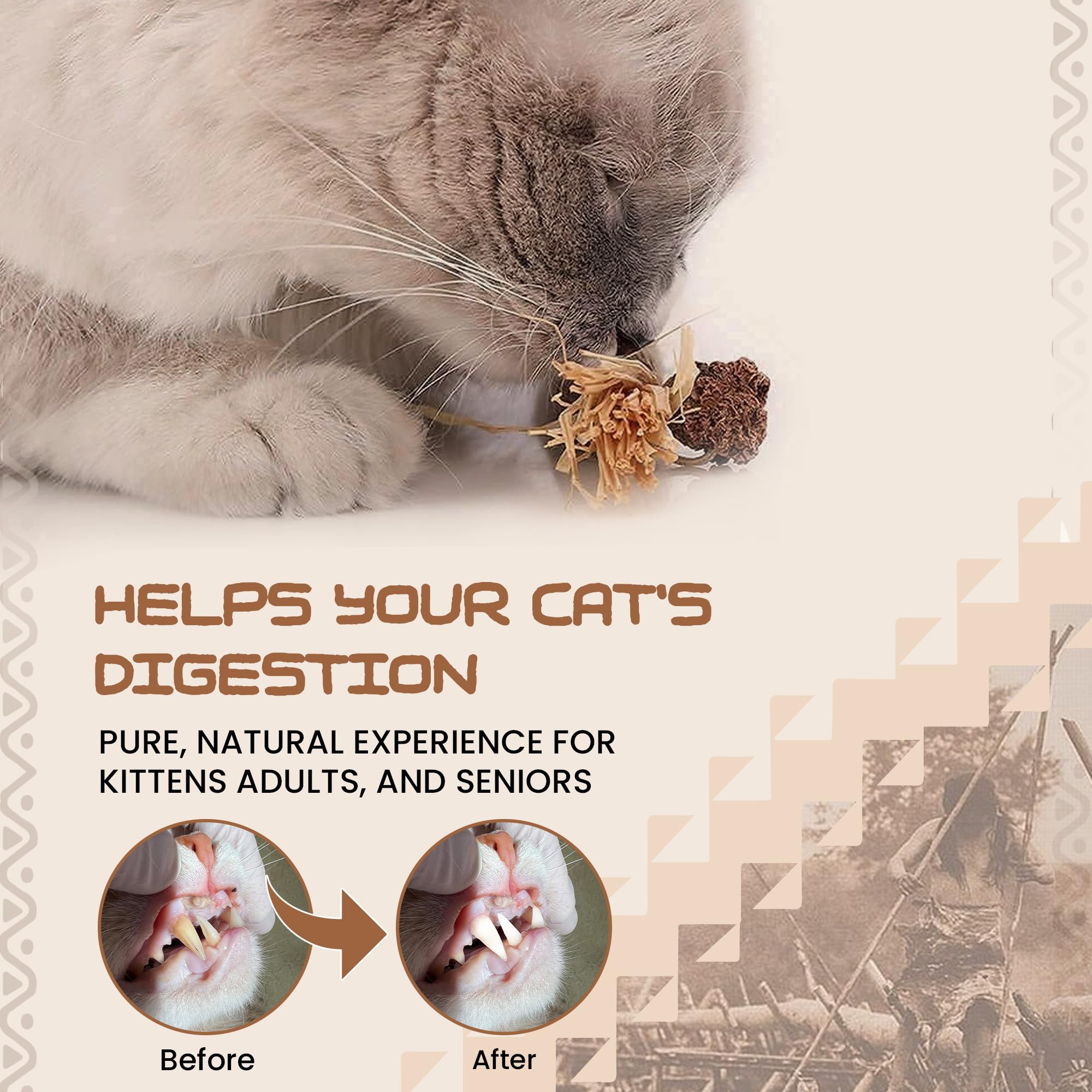 Catnip Silvervine Sticks for Cats | Silver Vine Chew Toy or Cat Chew Stick | Kitten Teething Toys | Cat Dental Chew with Cat Raf