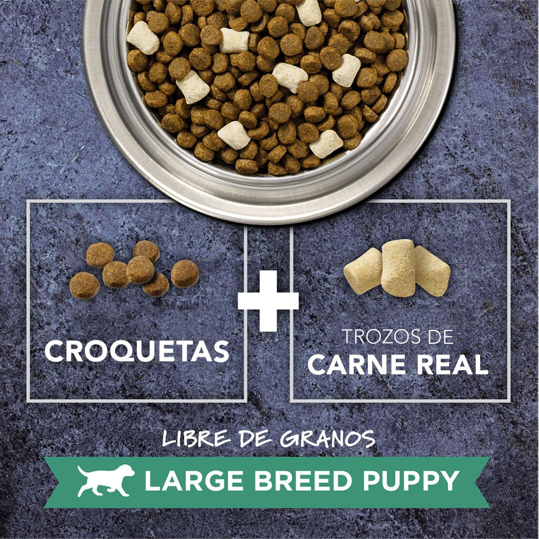 Instinct Raw Boost Large Breed Puppy, Natural Dry Dog Food with Freeze Dried Pieces, Grain Free Recipe - Real Chicken, 20 lb. Ba