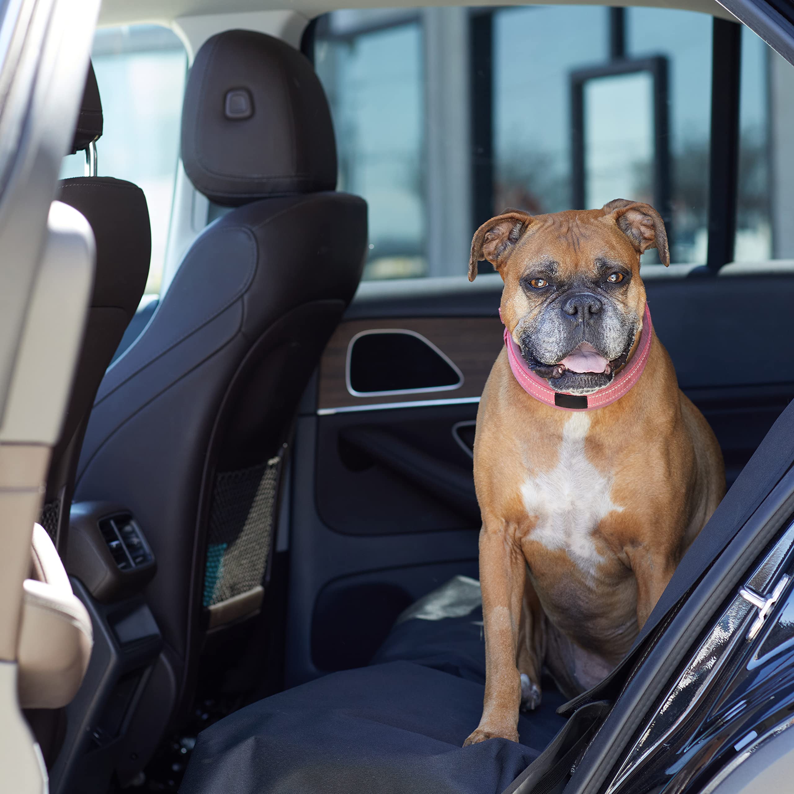 Amazon Basics Waterproof Car Back Bench Seat Cover Protector For Dog - 56 X 47 Inch, Black