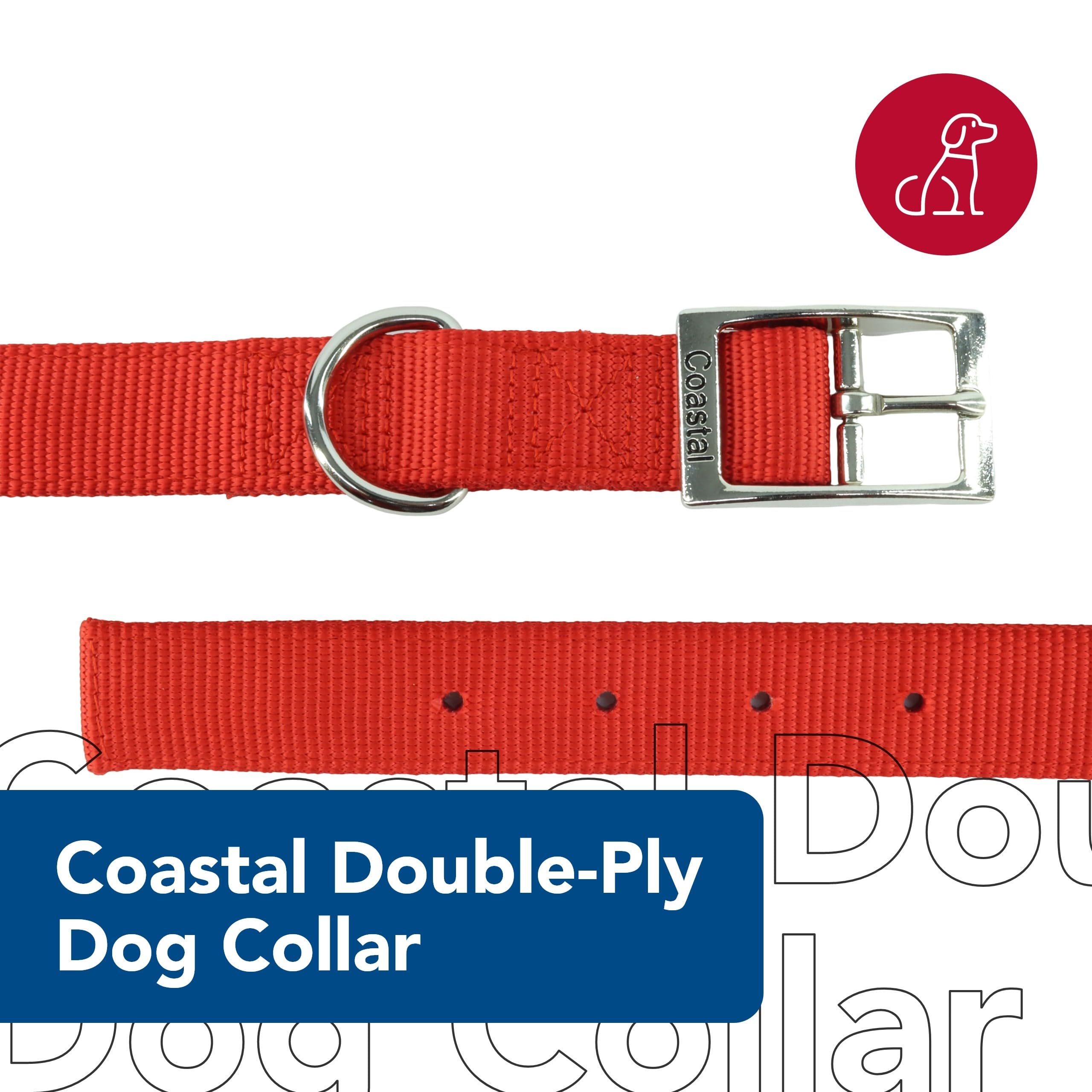 Coastal Pet - Double-Ply Dog Collar, Pink Bright, 1' X 22'