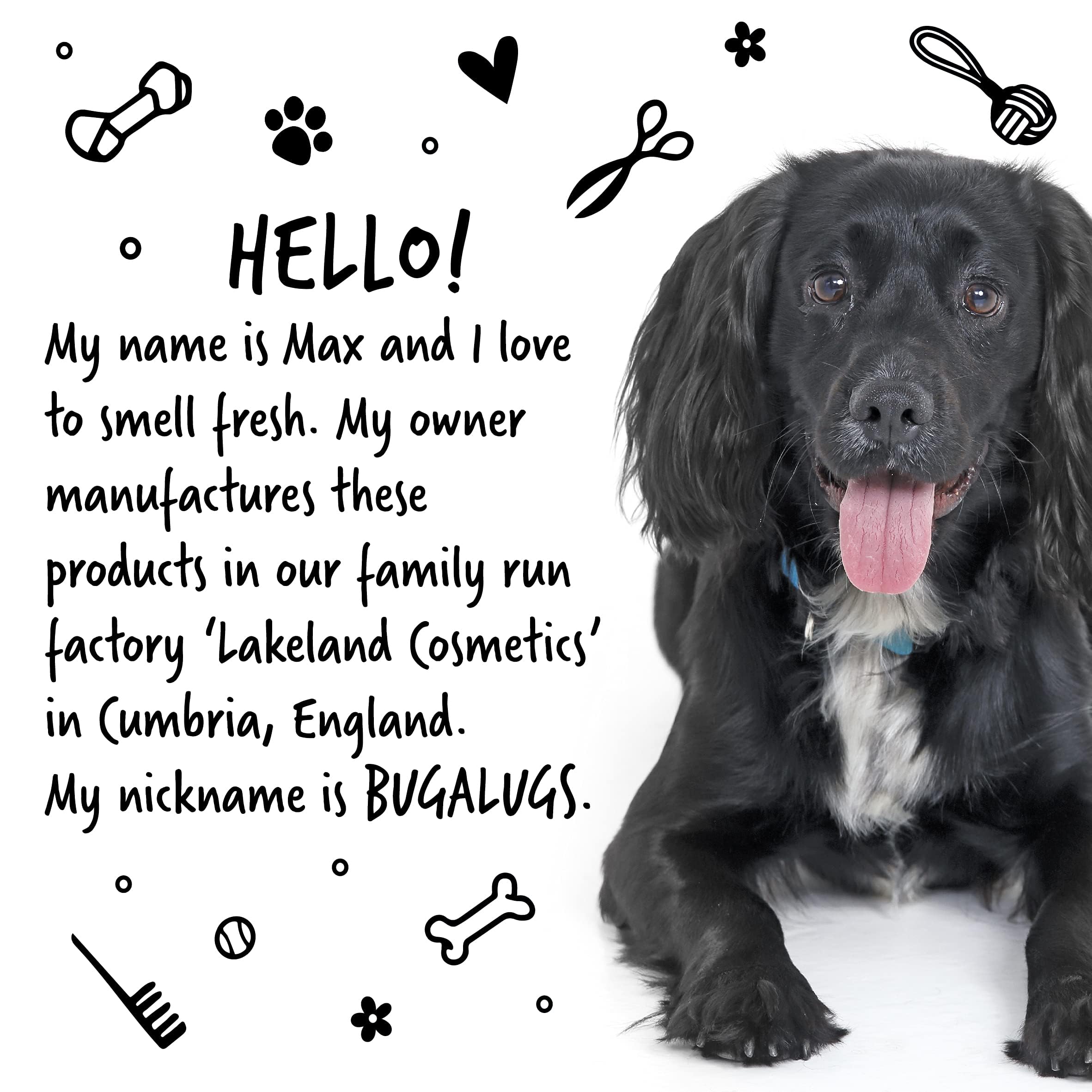 Bugalugs Dog Shampoo Luxury 2 In 1 Papaya & Coconut Dog Grooming Shampoo Products For Smelly Dogs With Fragrance, Best Puppy Shampoo, Professional Groom Vegan Pet Shampoo & Conditioner